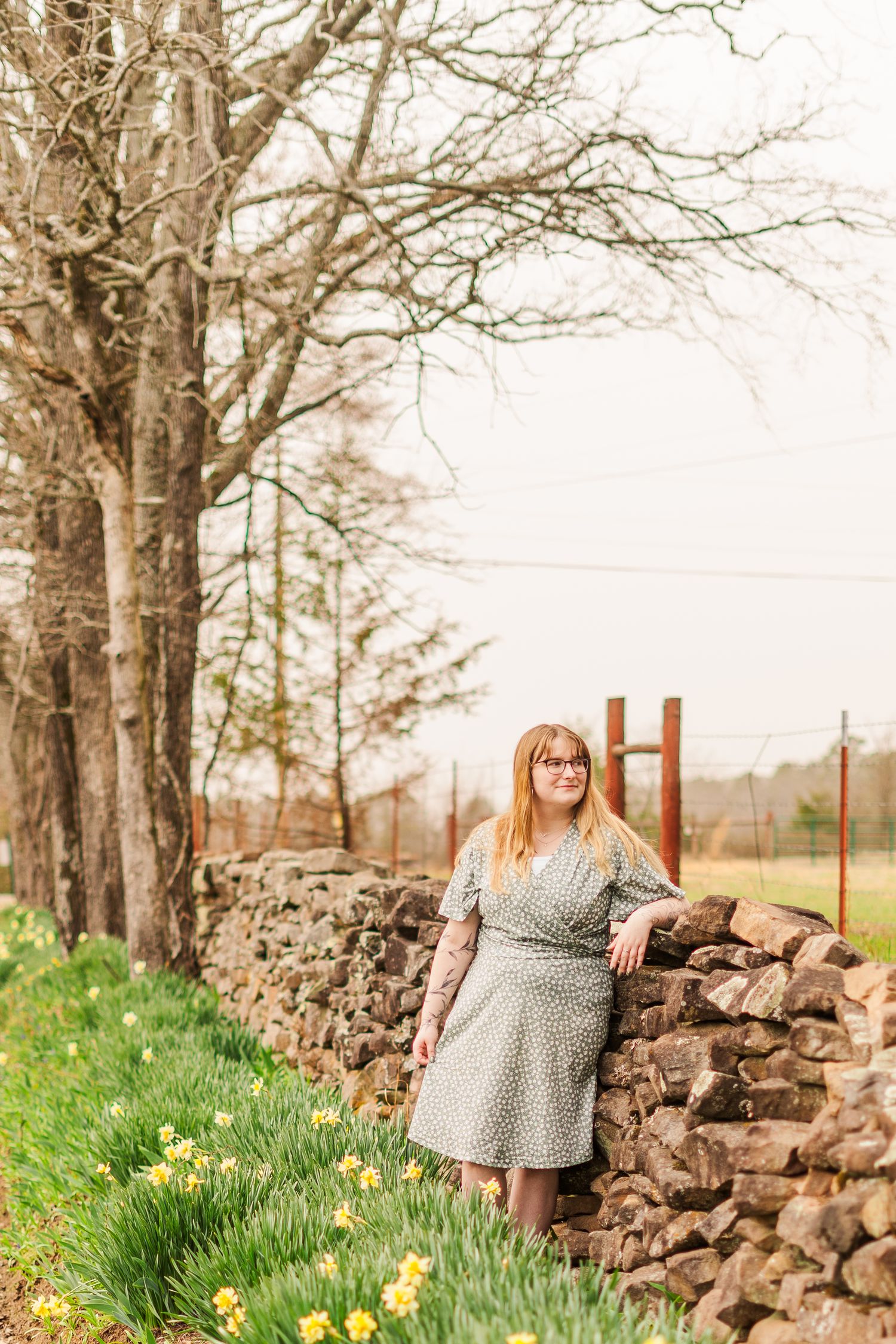 A stone wall stretches along a grassy field with blooming daffodils and bare trees in early spring.