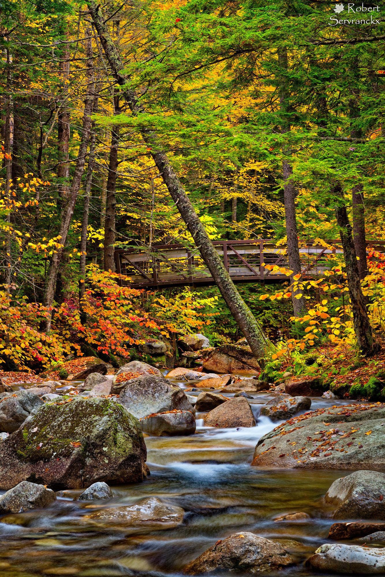 Footbridge over the Pemigewasset River in Fall, New Hampshire - Petit pont sur la rivière Pemigewasset, New Hampshire, en automne