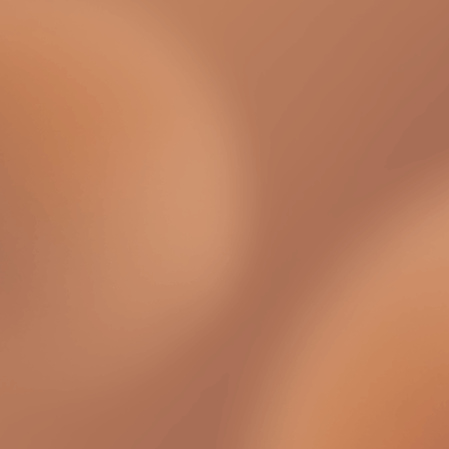 Abstract gradient background in warm peach and copper tones creates a soft blurred texture.