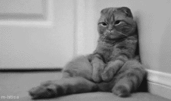 A sleepy gray cat rests comfortably on a white surface while stretching and yawning.