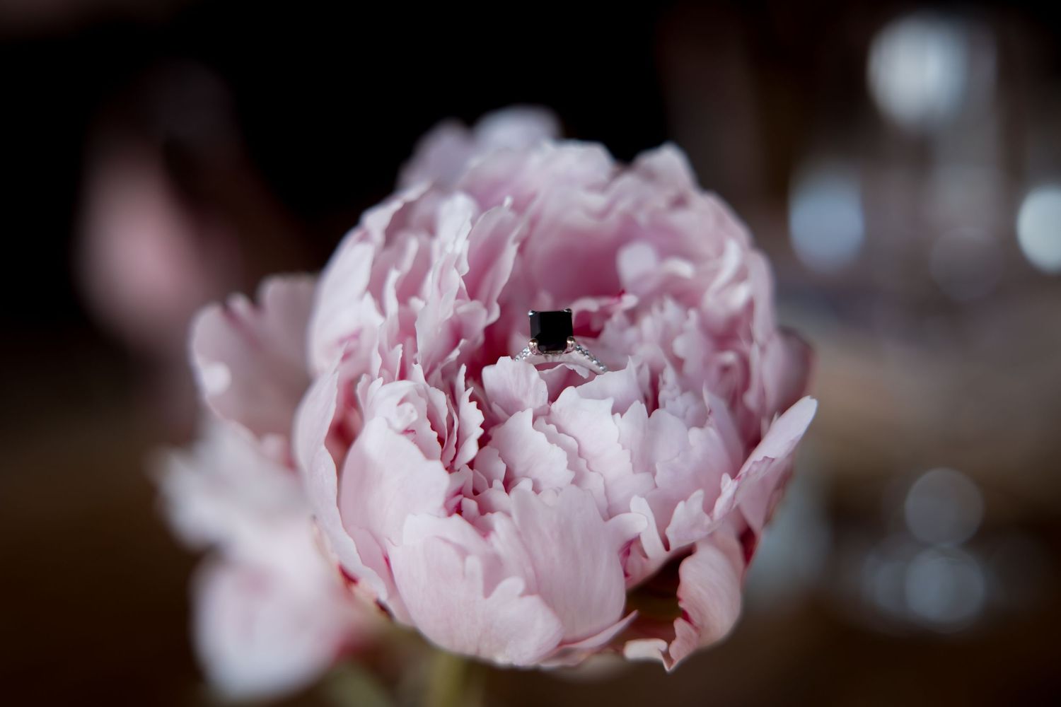 Soft focus detail of delicate pink peonies in romantic wedding decor.
