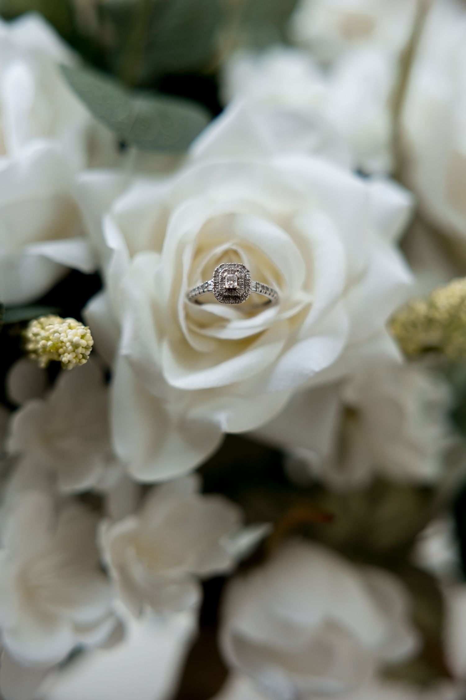Close-up of white roses with a diamond engagement ring nestled among the petals.