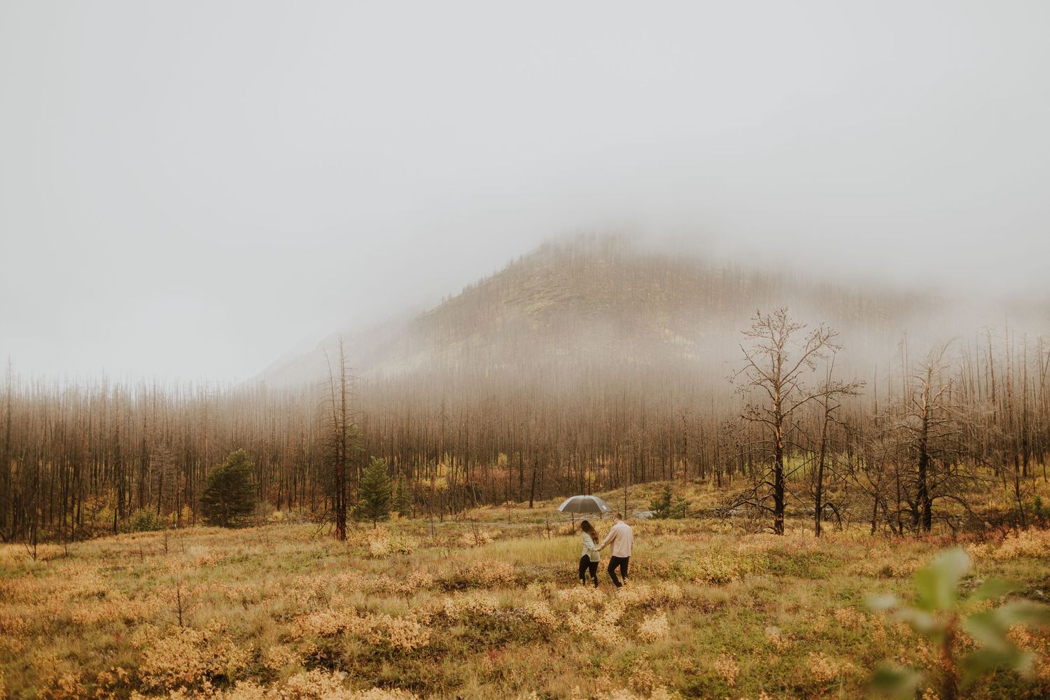 Waterton, Engagement Session in 2023 during Fall season and raining. Turned out beautiful