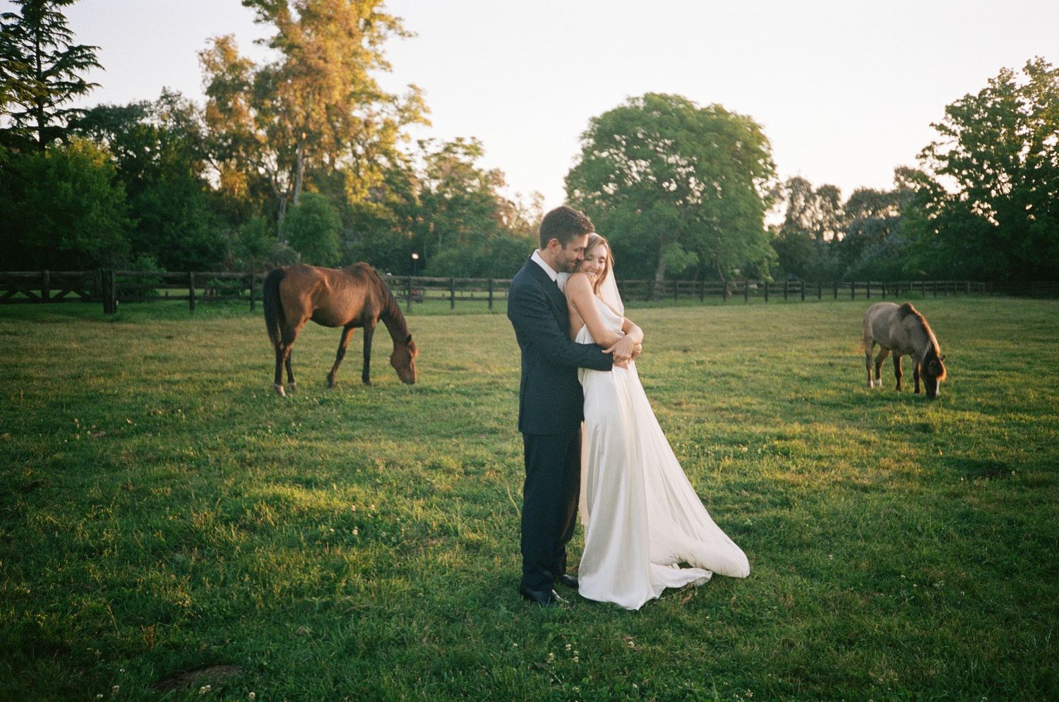 A romantic sunset scene in a grassy field with horses grazing in the background.