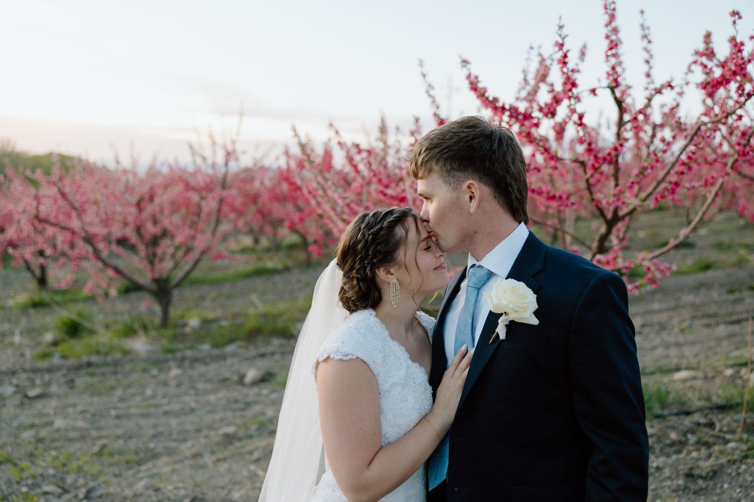 Bride and groom share a romantic kiss in a blooming pink orchard at sunset, groom in navy suit with white boutonniere.