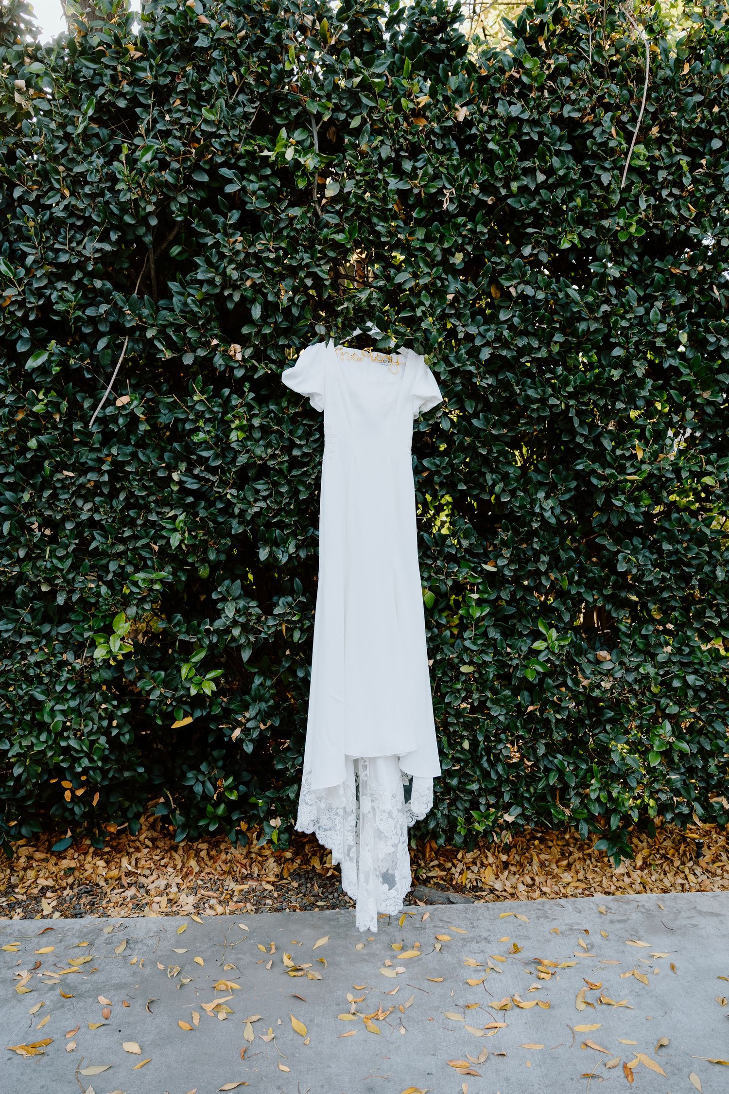 White wedding dress with short sleeves and lace hem hanging on a lush green hedge wall outdoors.