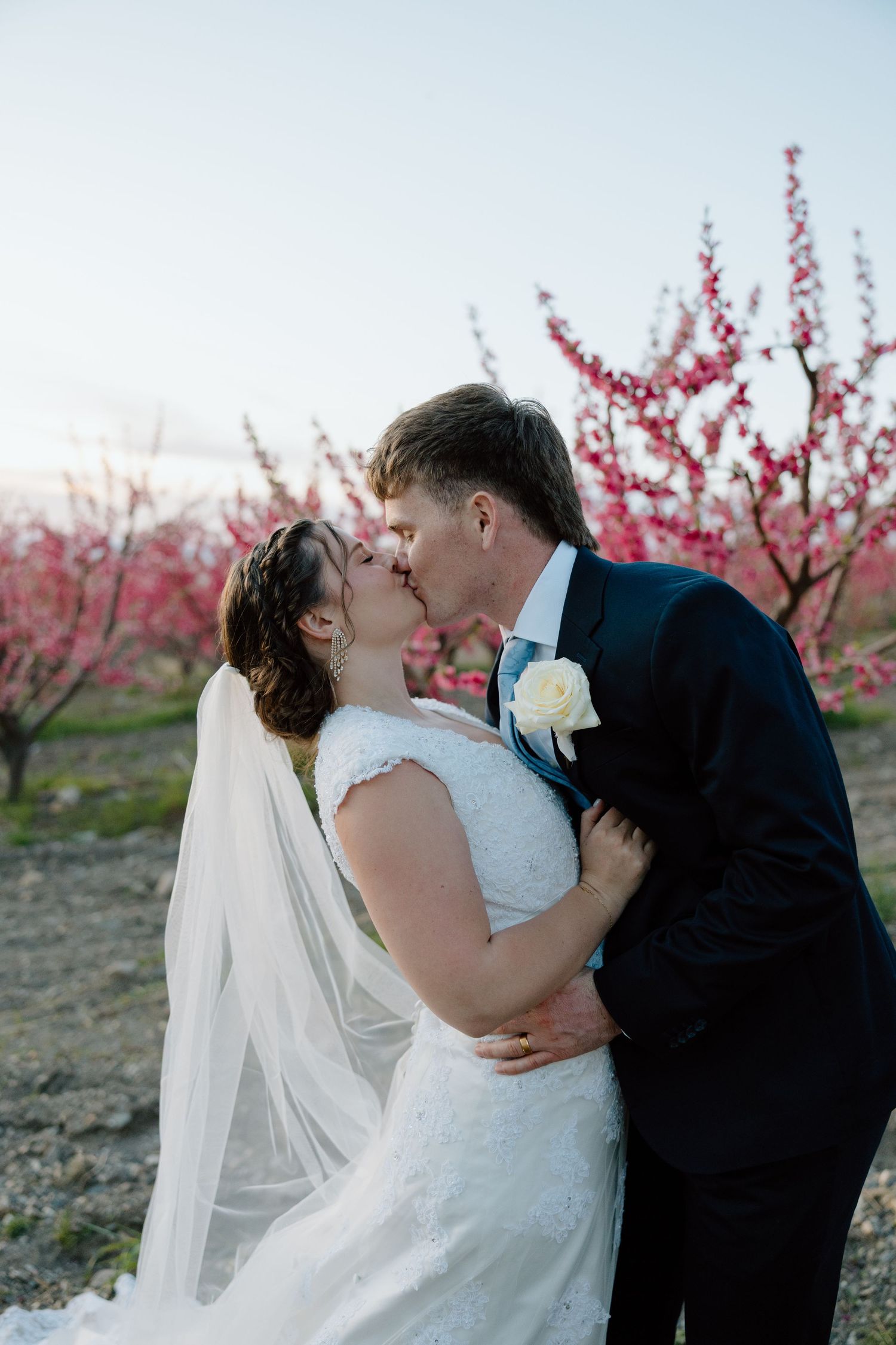 Bride and groom share a kiss in front of vibrant pink cherry blossom trees at sunset.