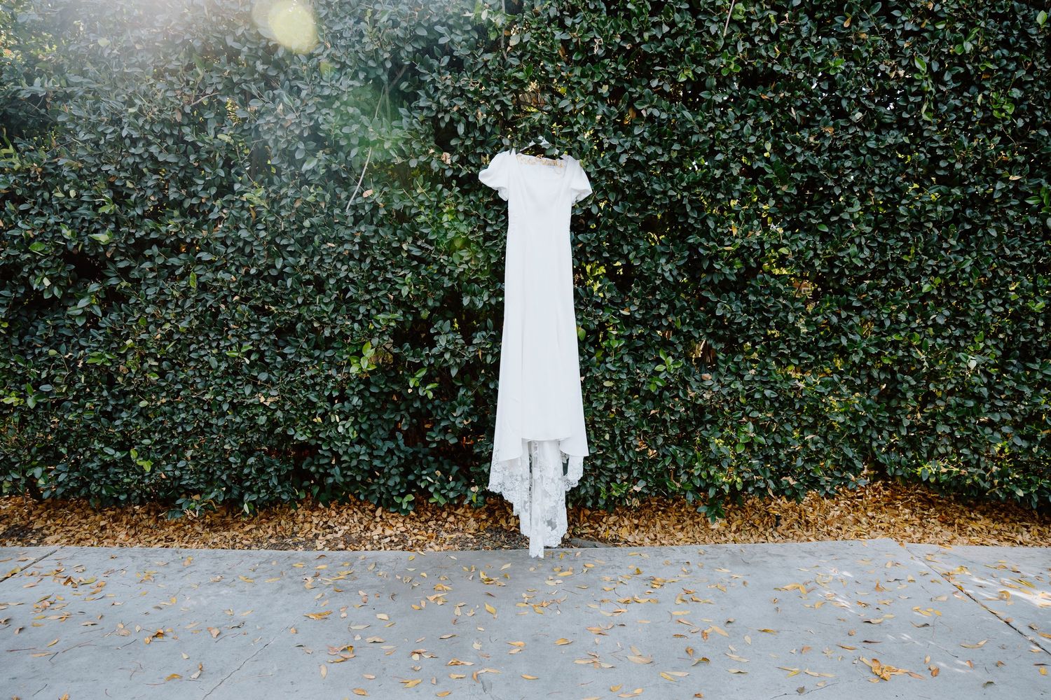 White wedding dress hanging against a lush green ivy wall with autumn leaves on the ground below.