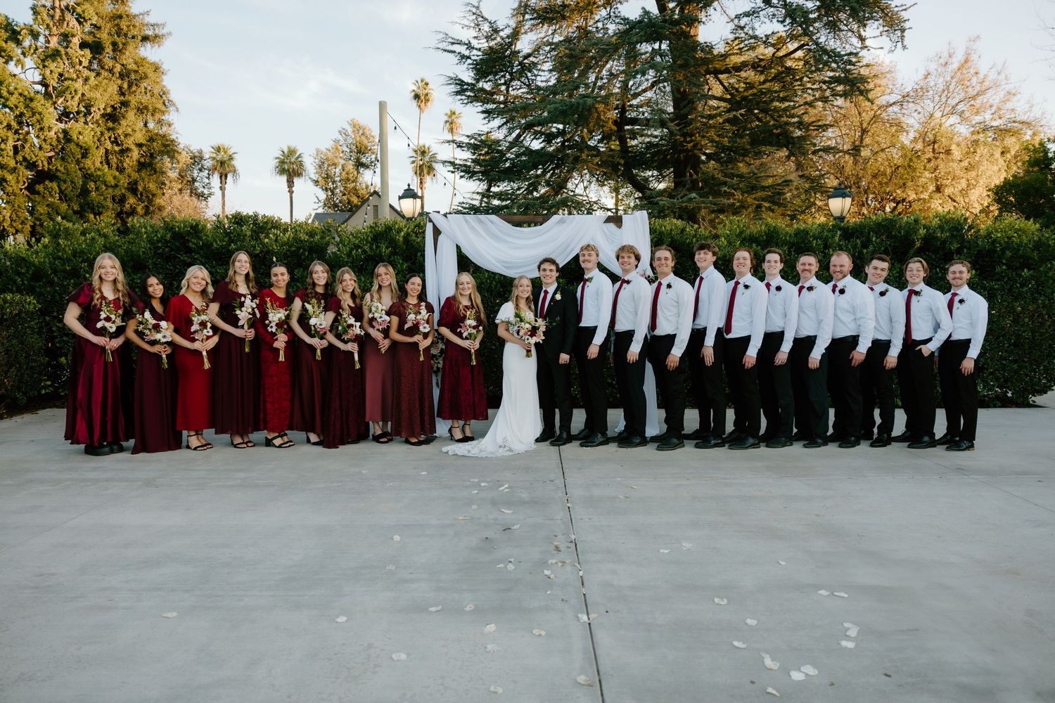 Large wedding party with bridesmaids in burgundy and groomsmen in white shirts posed before a draped arch.