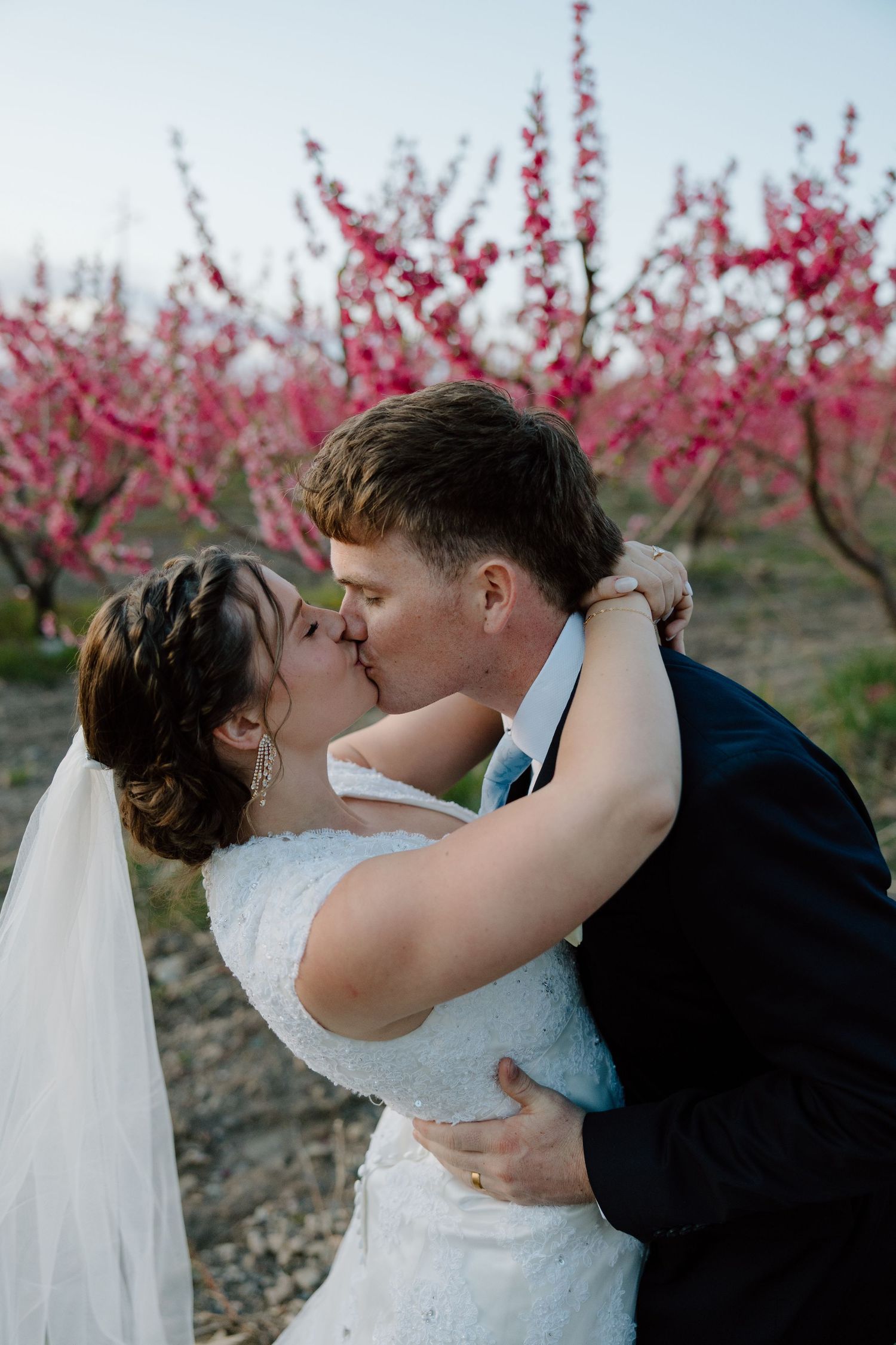 Couple shares a passionate kiss surrounded by vibrant pink blossoming trees during wedding portraits.