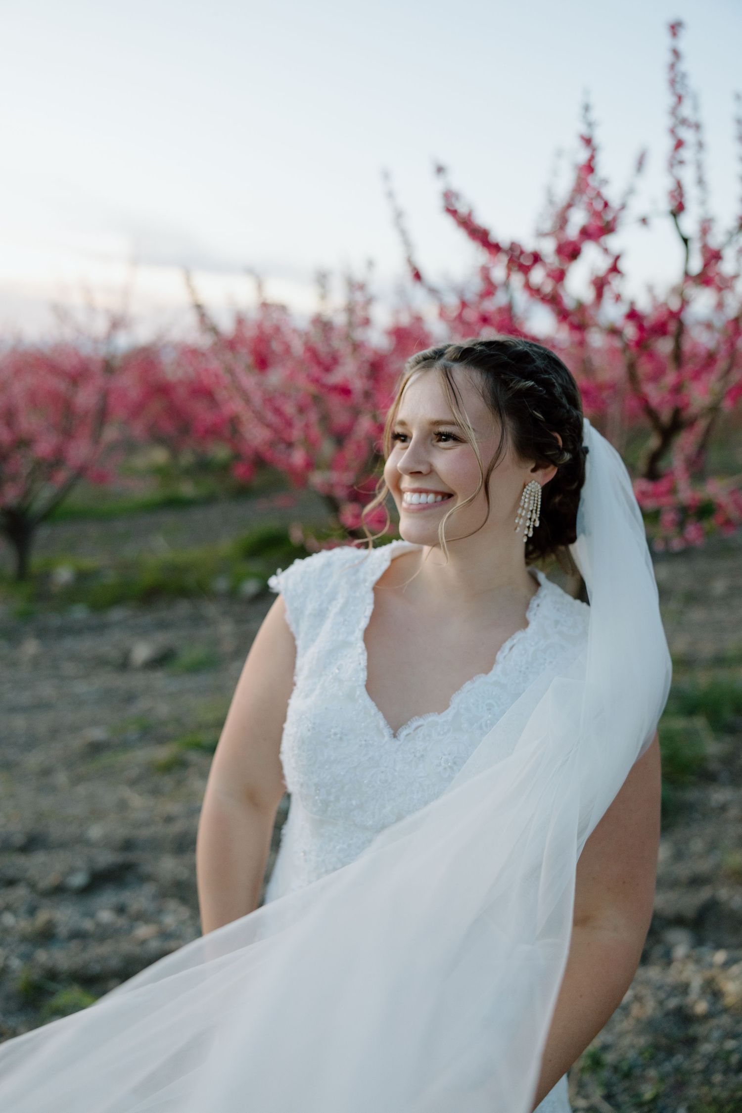 Radiant bride in lace gown with veil smiles joyfully among blooming pink trees at dusk.