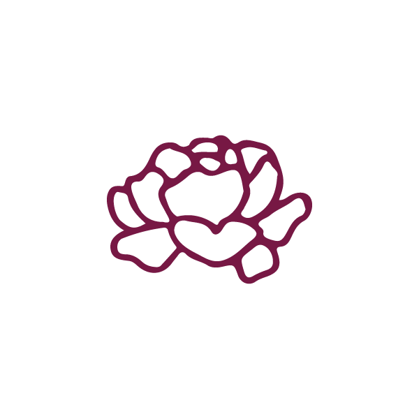 A dark burgundy line art illustration of a blooming peony flower on a white background.