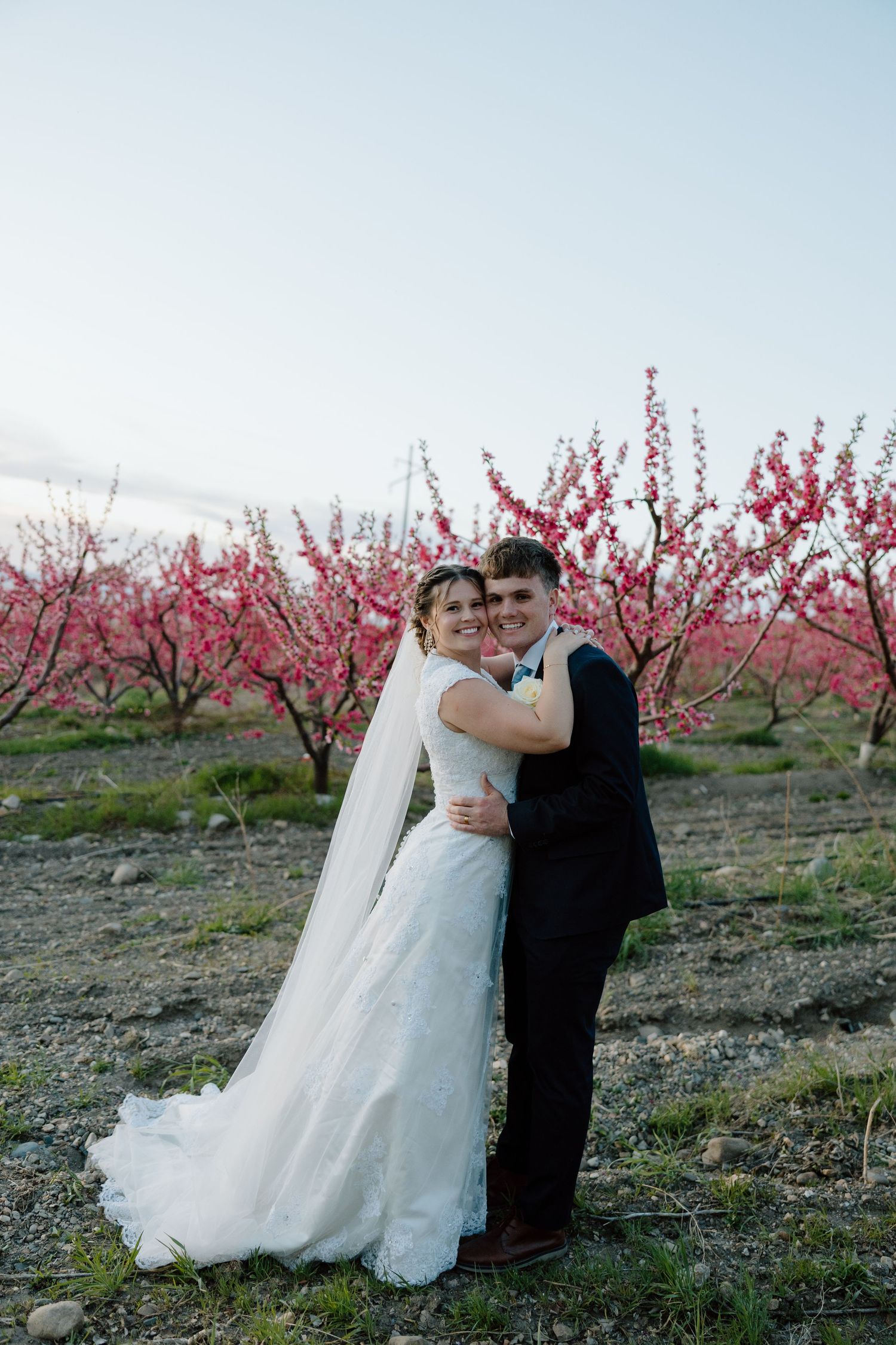 Bride and groom embrace warmly in front of rows of blooming pink orchard trees at dusk.