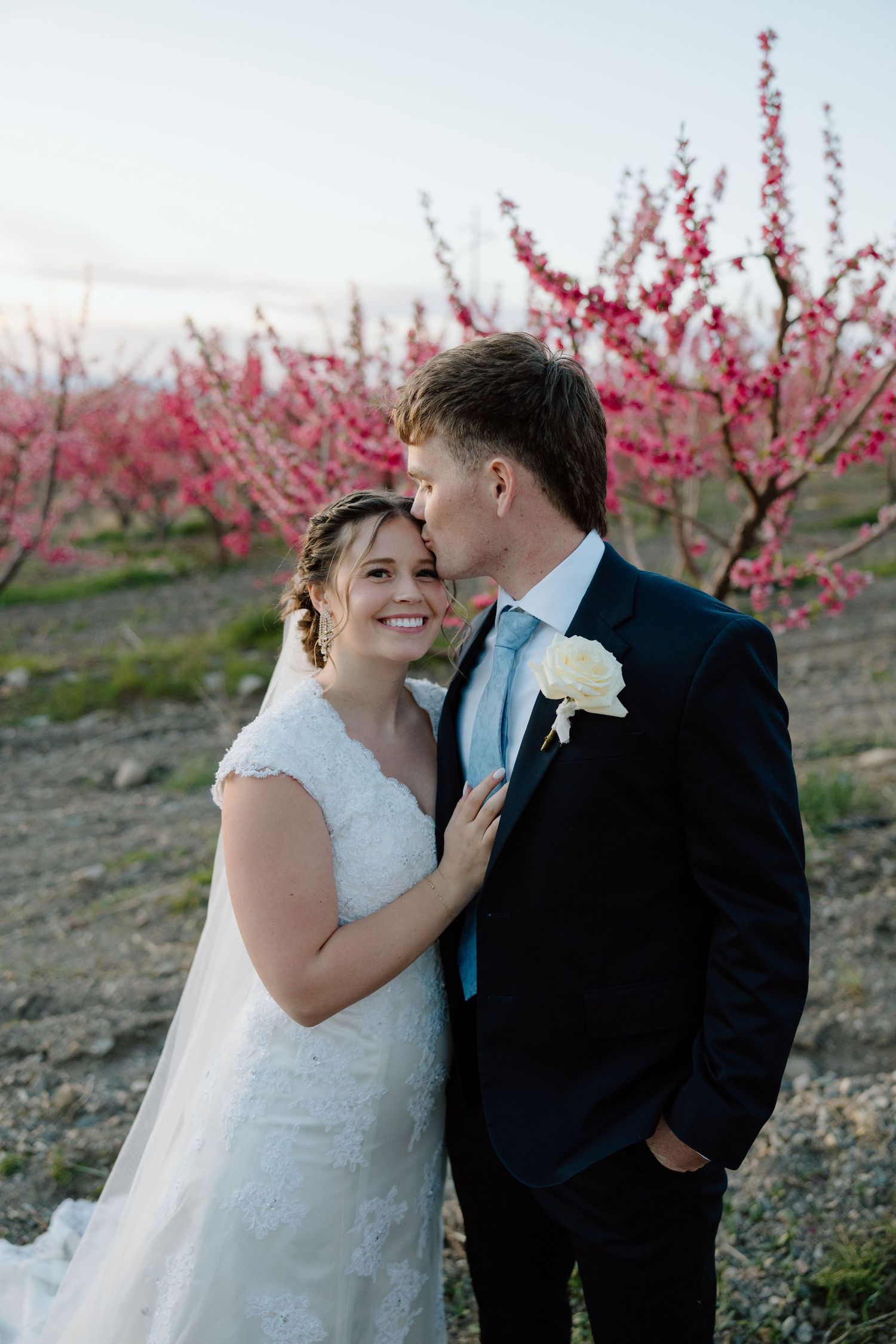 Bride smiles as groom kisses her cheek in front of vibrant pink cherry blossom trees at dusk.