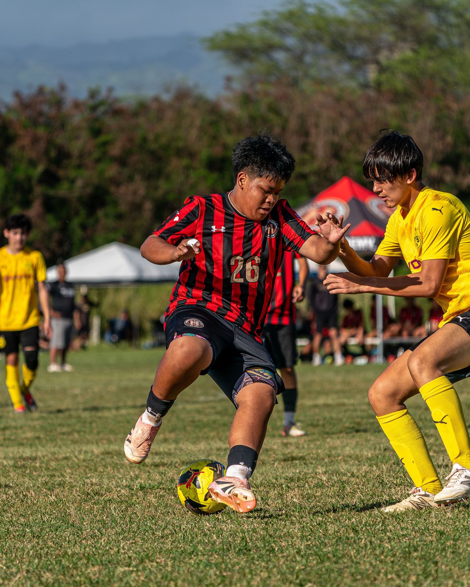 Client portrait captured by Hawaii photographer Fujitonez