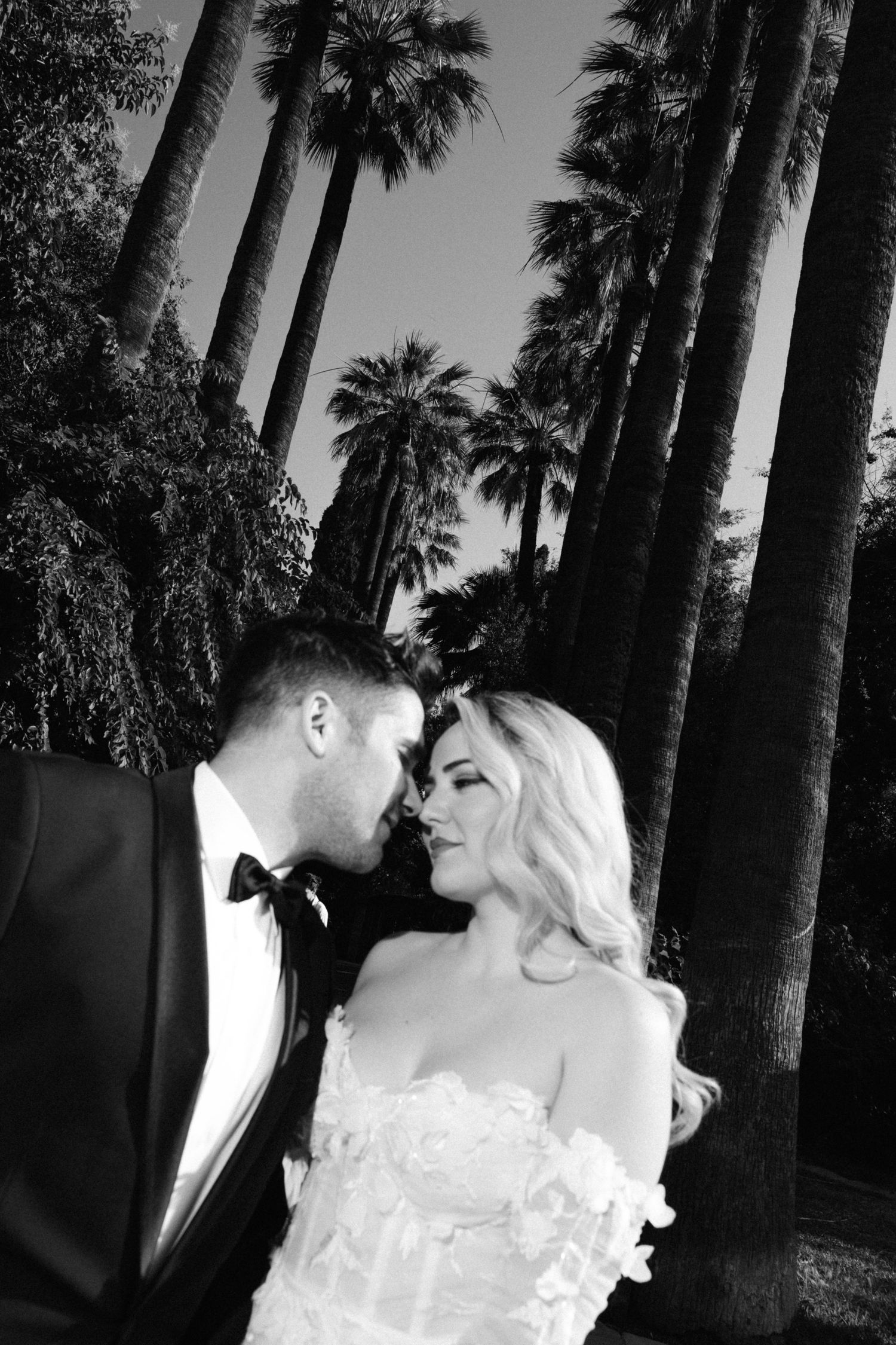 A romantic wedding couple shares a kiss against a backdrop of tall palm trees at dusk.