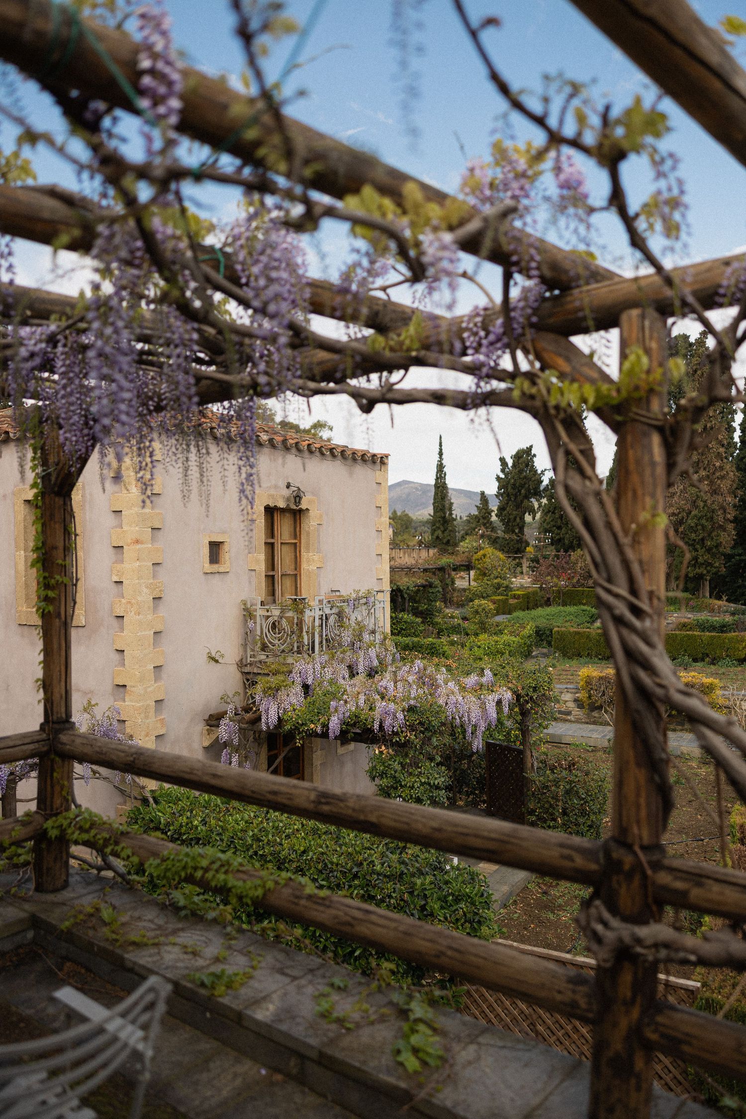 Wisteria vines drape elegantly over a wooden pergola in a Mediterranean garden with stone walls and pathways.