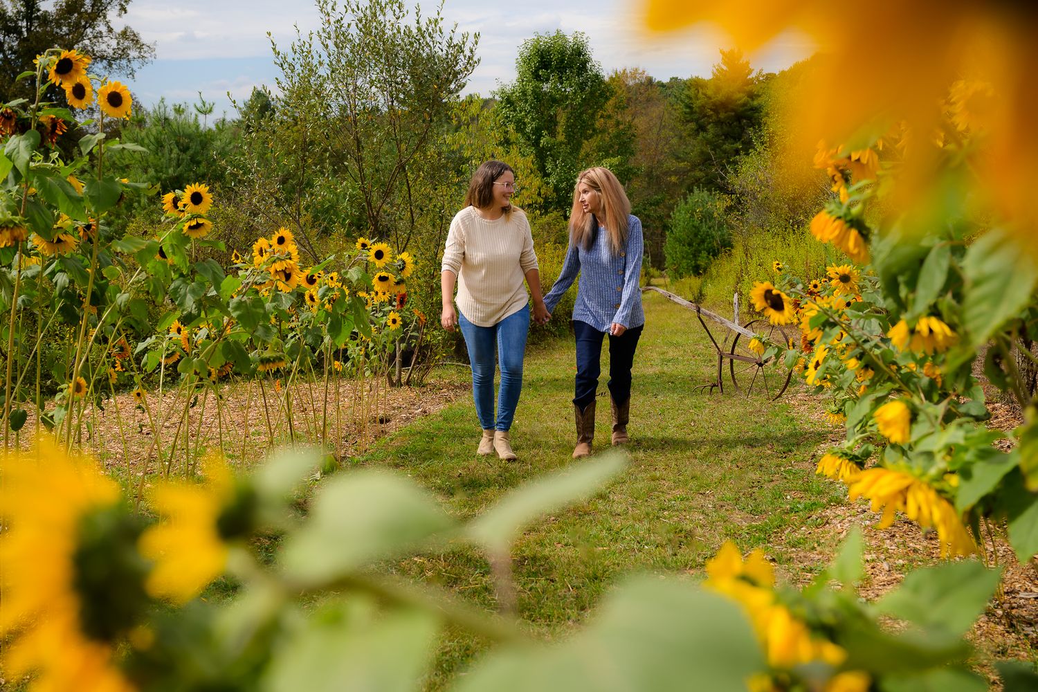 Two women walk hand-in-hand through a vibrant sunflower garden path on a sunny day.