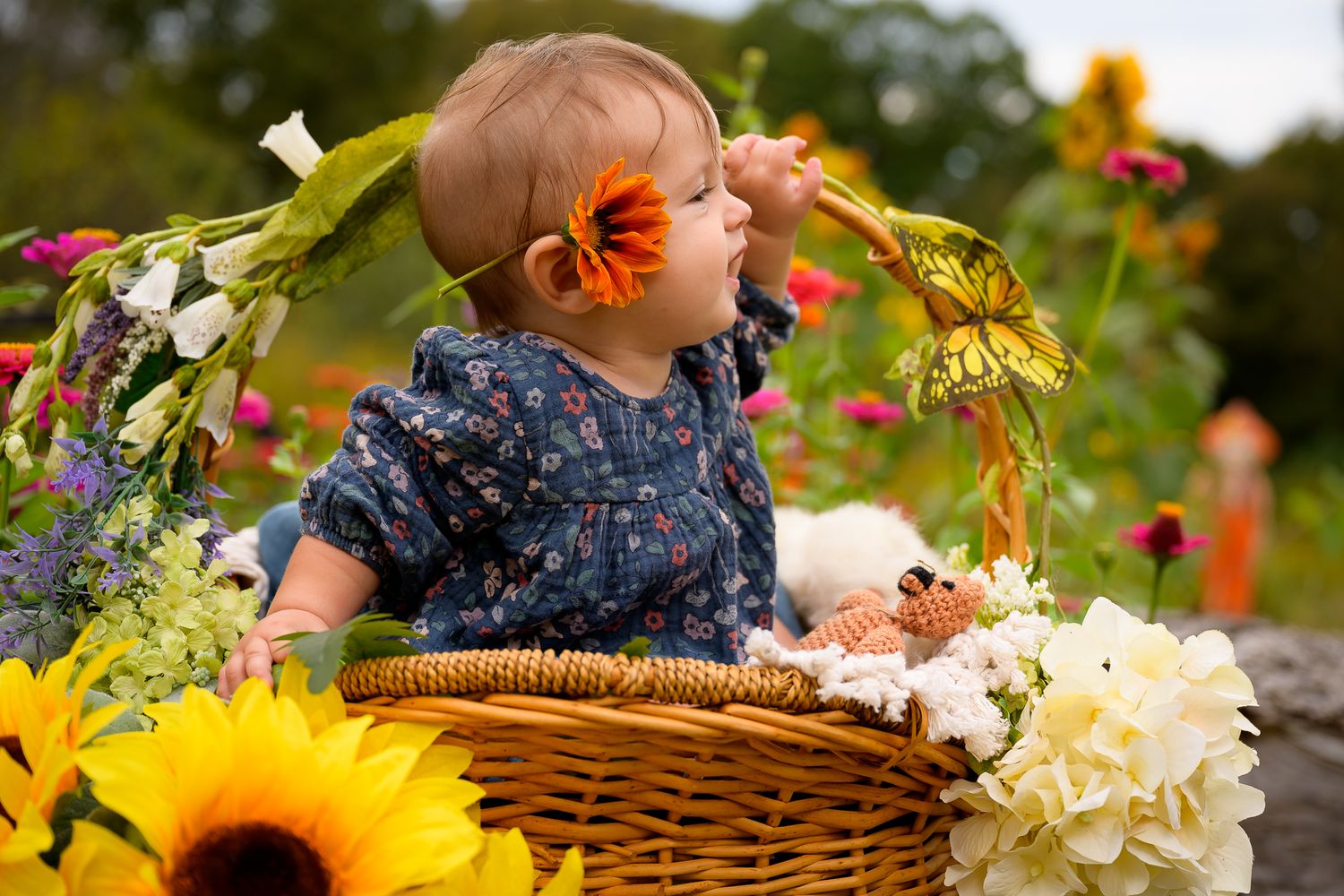 Cute baby girl with flower in hair sits in a wicker basket among sunflowers and white hydrangeas outdoors.