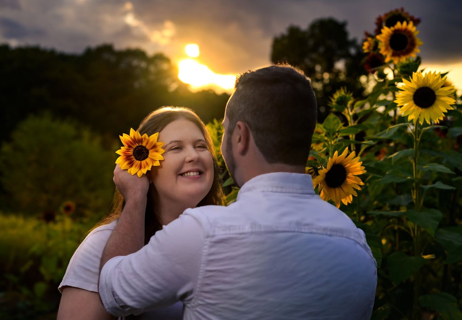 Couple embracing in a sunflower field at golden sunset, woman holding a sunflower and smiling joyfully.