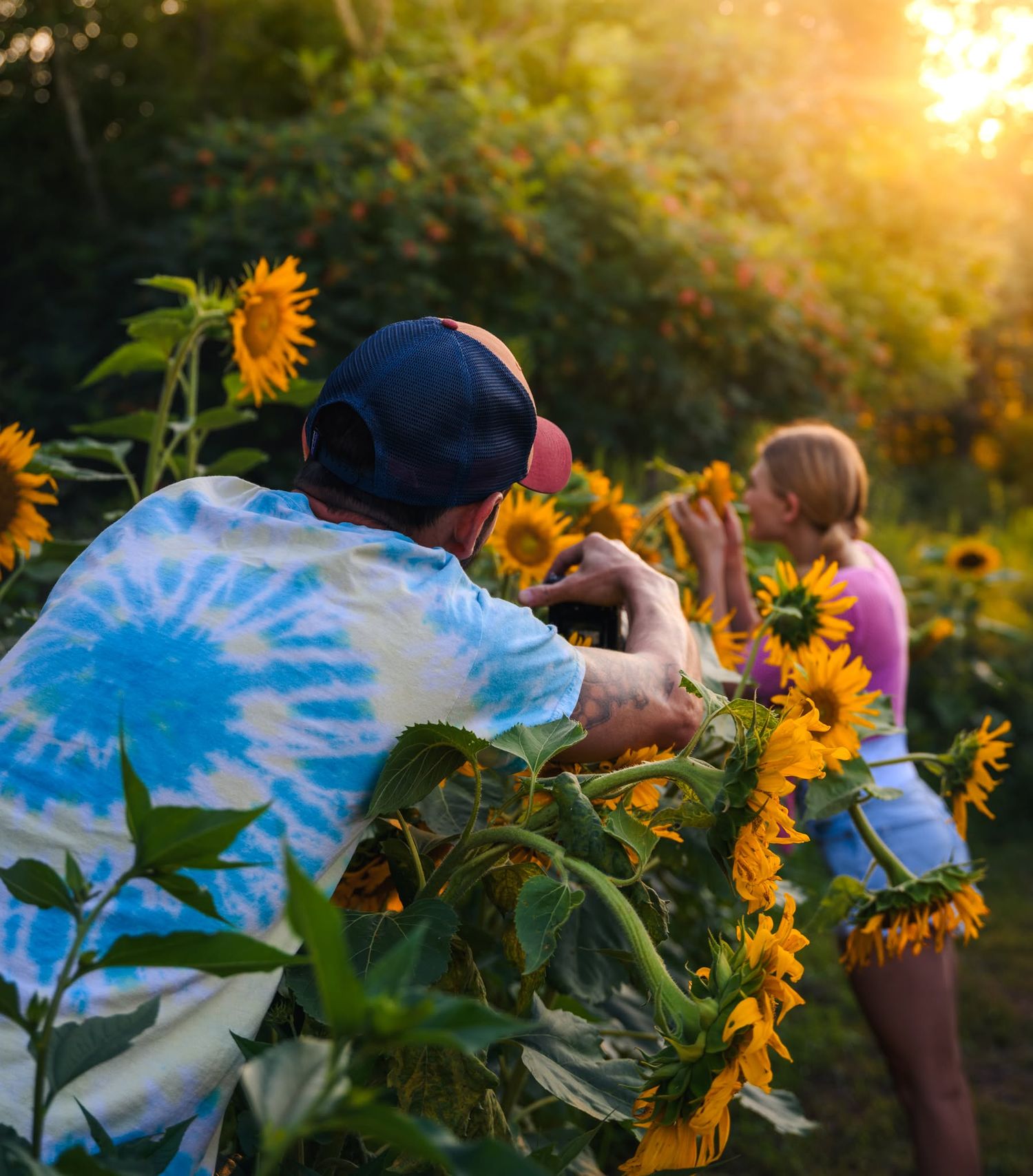 Photographer in tie-dye shirt captures woman among vibrant sunflowers at golden hour sunset.