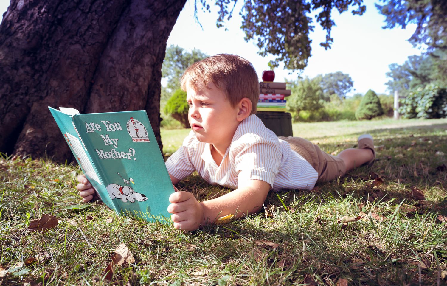 Young boy lying on grass under a tree reading Are You My Mother Dr. Seuss book outdoors.