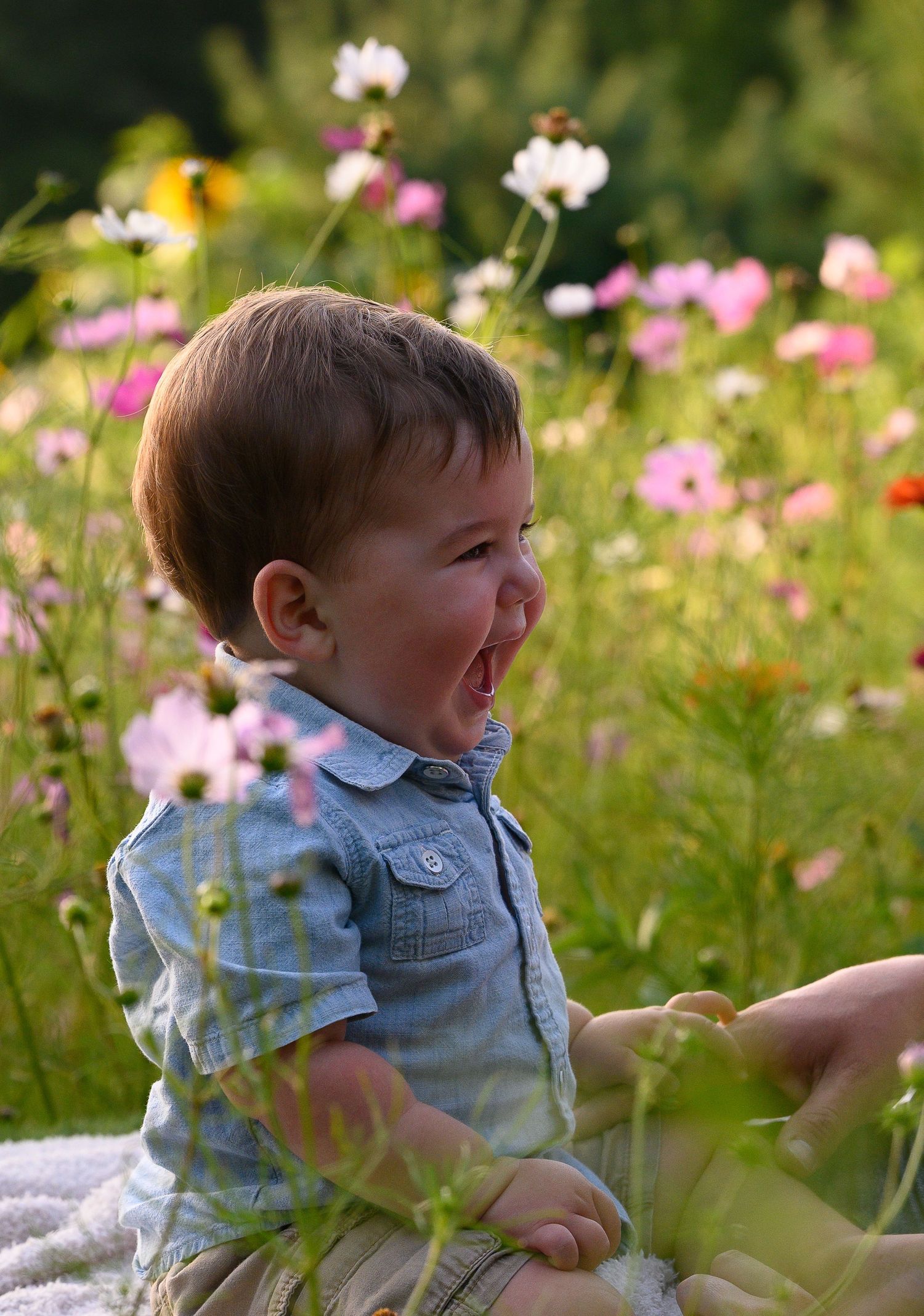 A joyful toddler boy laughing in a colorful wildflower meadow, wearing a blue plaid shirt on a sunny day.