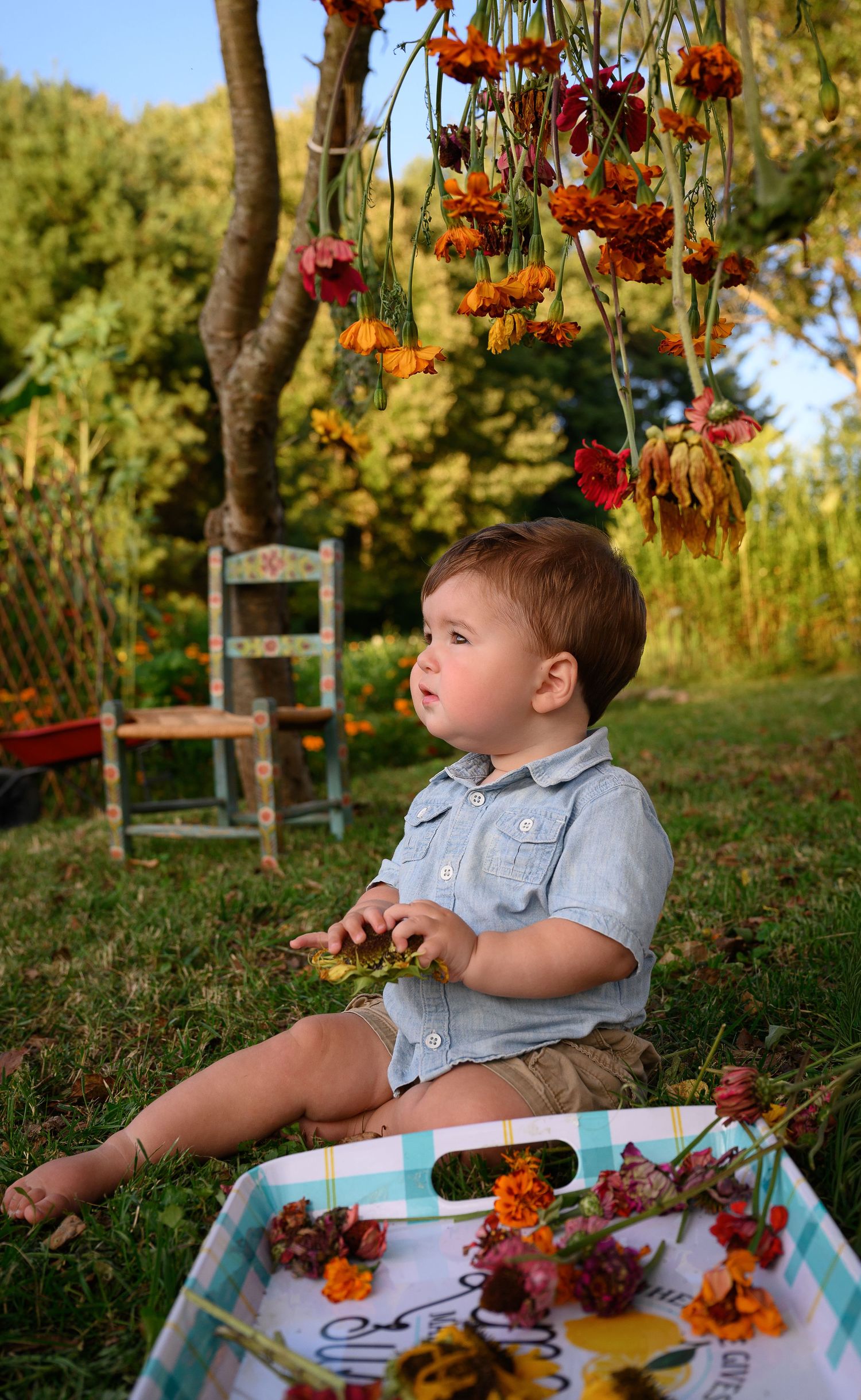 Toddler boy sitting outdoors in garden with hanging dried flowers, holding blooms near decorative tray on green grass.