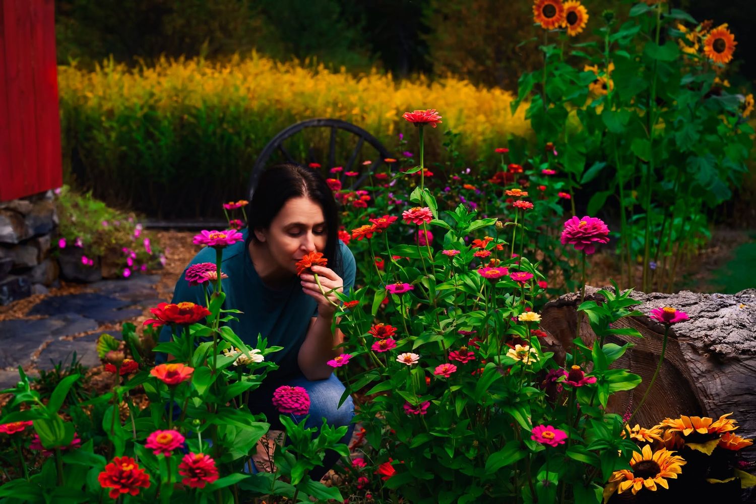 Woman smelling colorful zinnia flowers in lush garden with sunflowers at dusk.