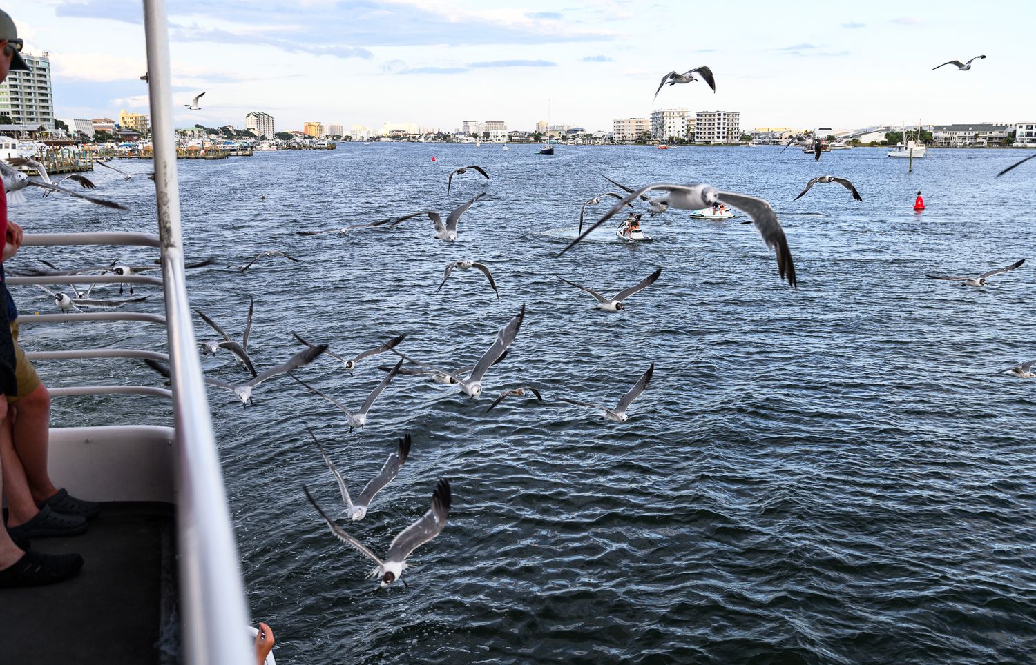 Flock of seagulls flying over ocean water near a boat dock with city buildings in the background.