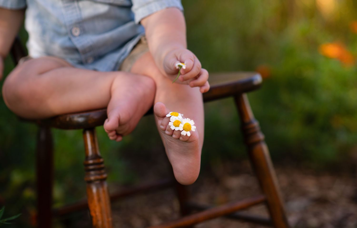 Child's bare feet holding tiny white daisy flowers outdoors on a wooden chair in soft natural light.