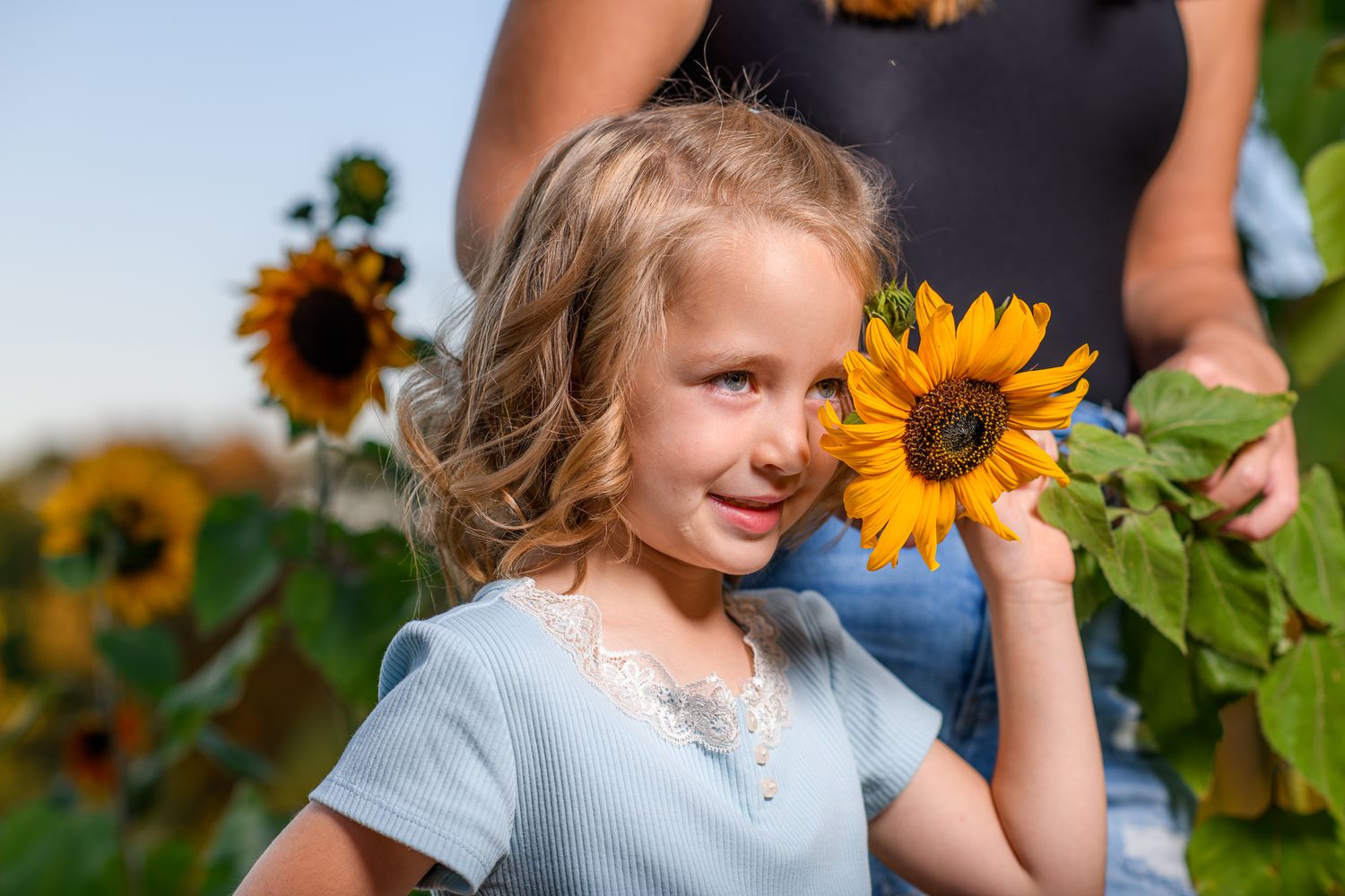 Young blonde girl holding a sunflower in a sunflower field, smiling softly in natural light.