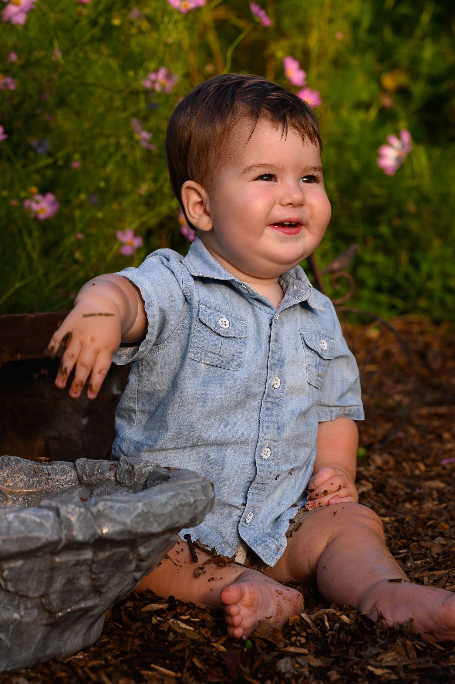 Smiling baby boy in blue chambray shirt sitting outdoors near garden flowers in warm golden sunlight.