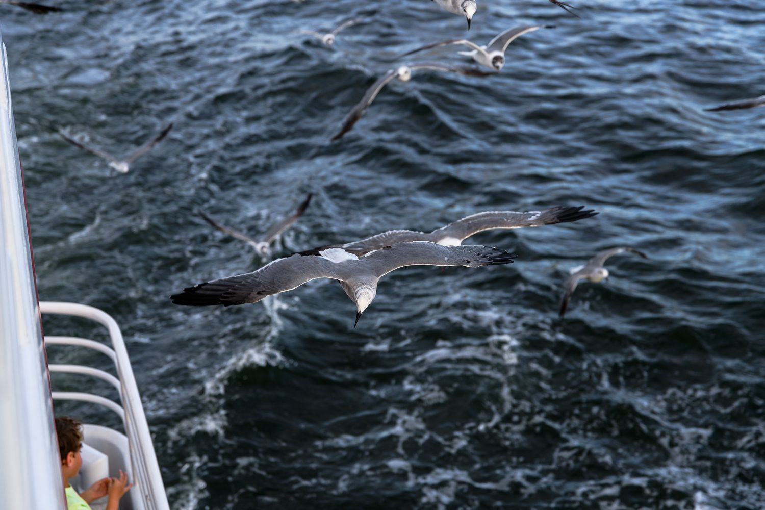 Seagulls flying over choppy ocean waves near a boat railing on a sunny day.