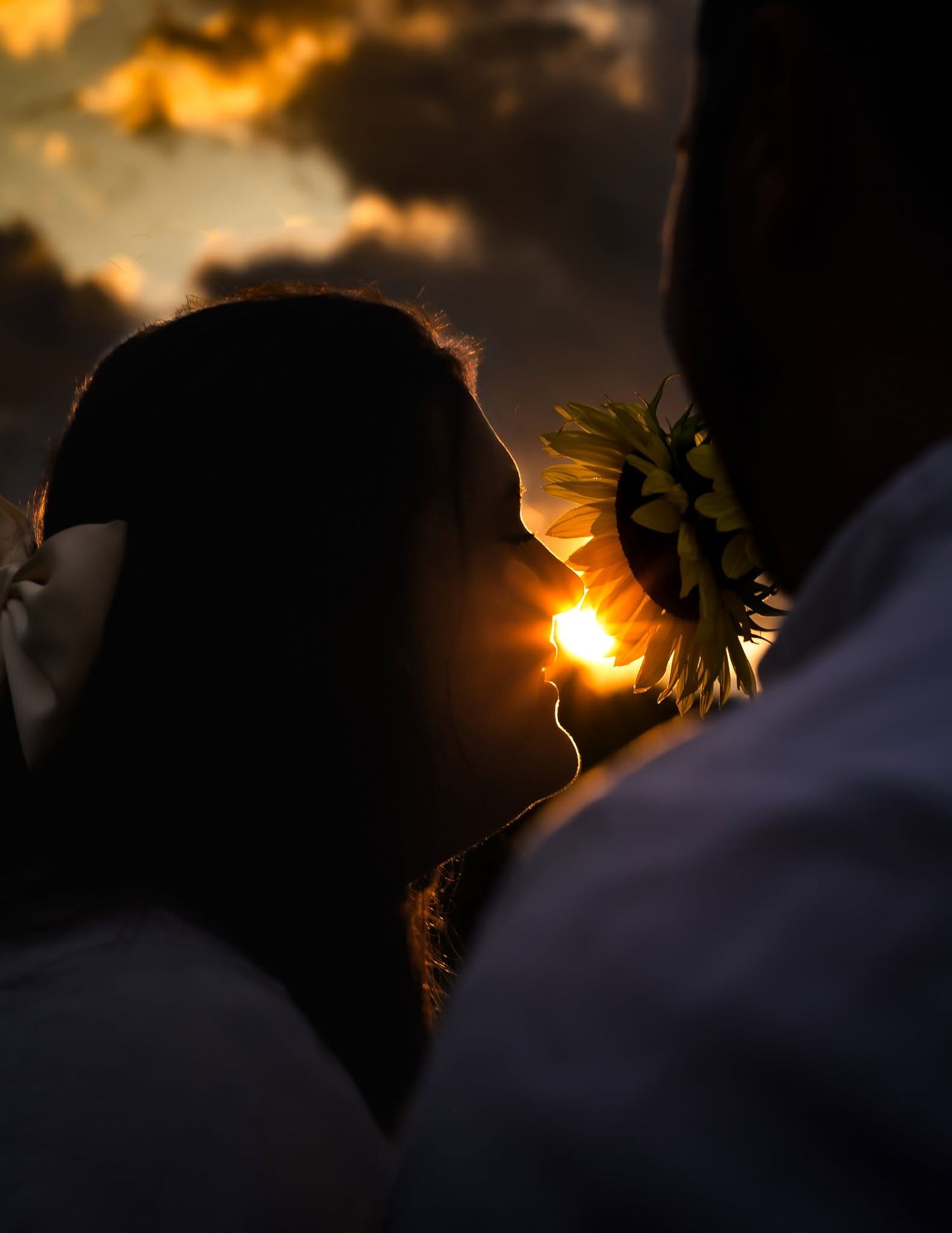 Silhouette of a couple sharing a romantic kiss at sunset with a sunflower, golden light glowing between them.