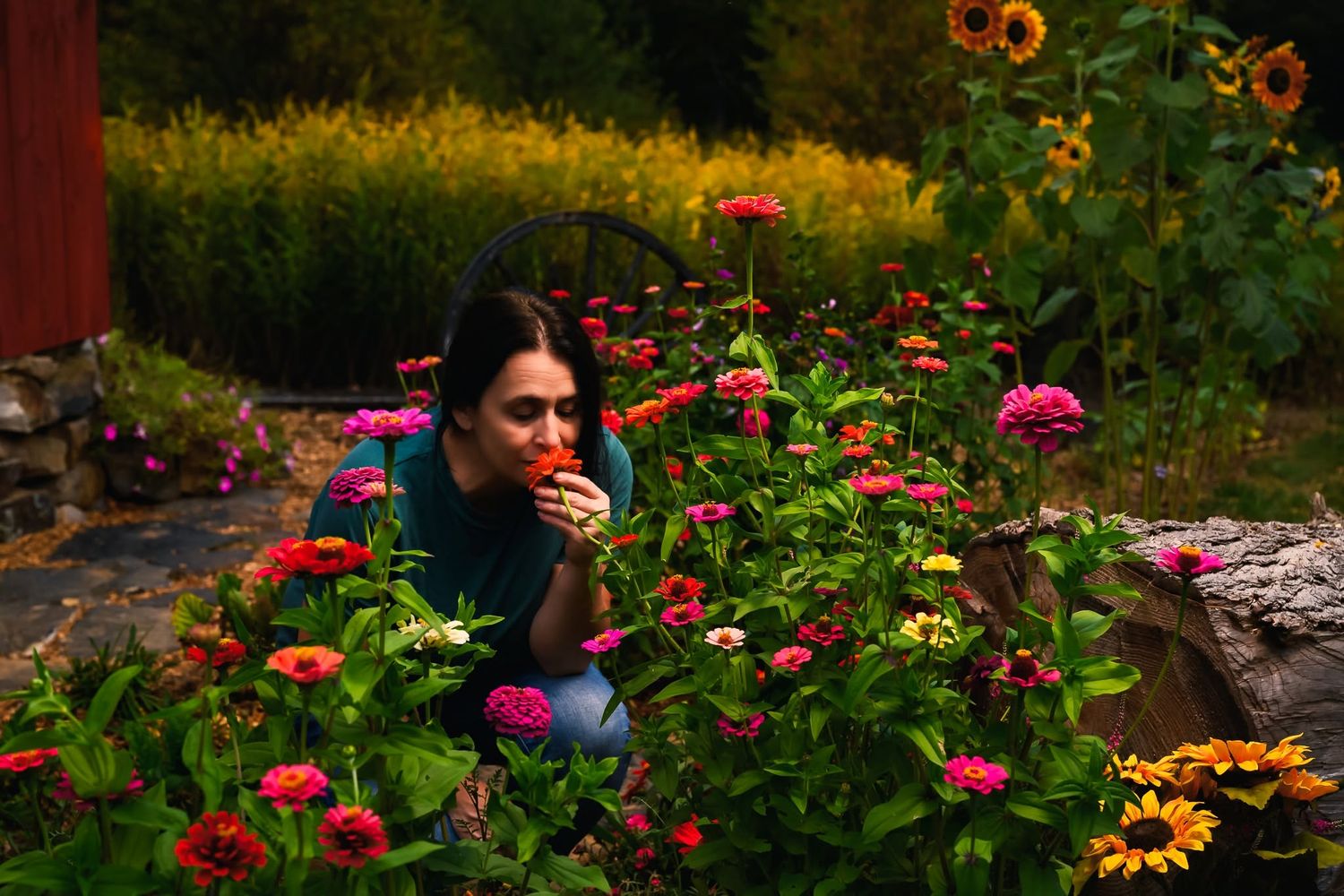 Woman smelling colorful zinnia flowers in a lush garden surrounded by sunflowers and greenery.