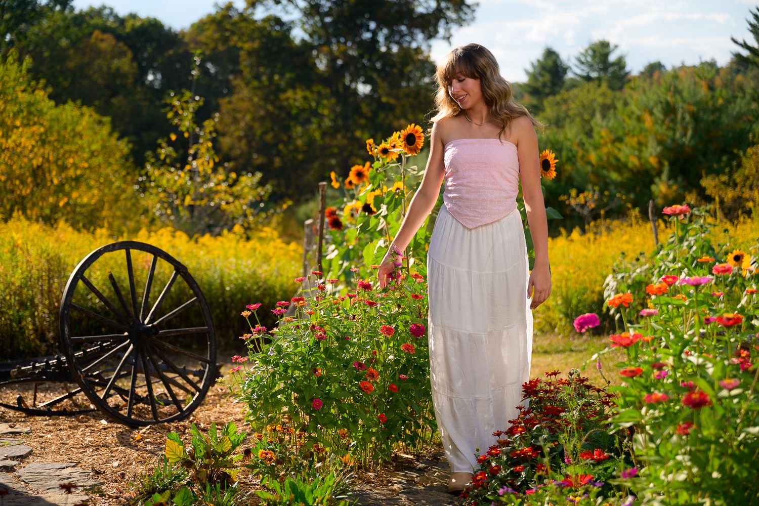 Young woman in white dress admiring colorful flowers in a garden with sunflowers and vintage wagon wheel.