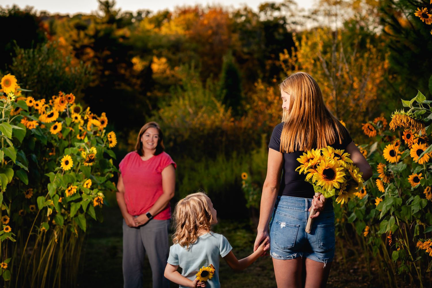 Woman and two girls walking through a vibrant sunflower field at golden hour sunset.