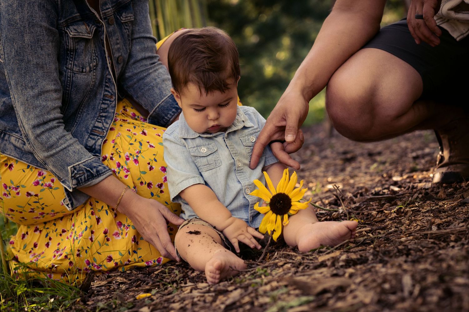 A baby sits on forest ground examining a sunflower while two adults sit nearby in a warm outdoor family moment.