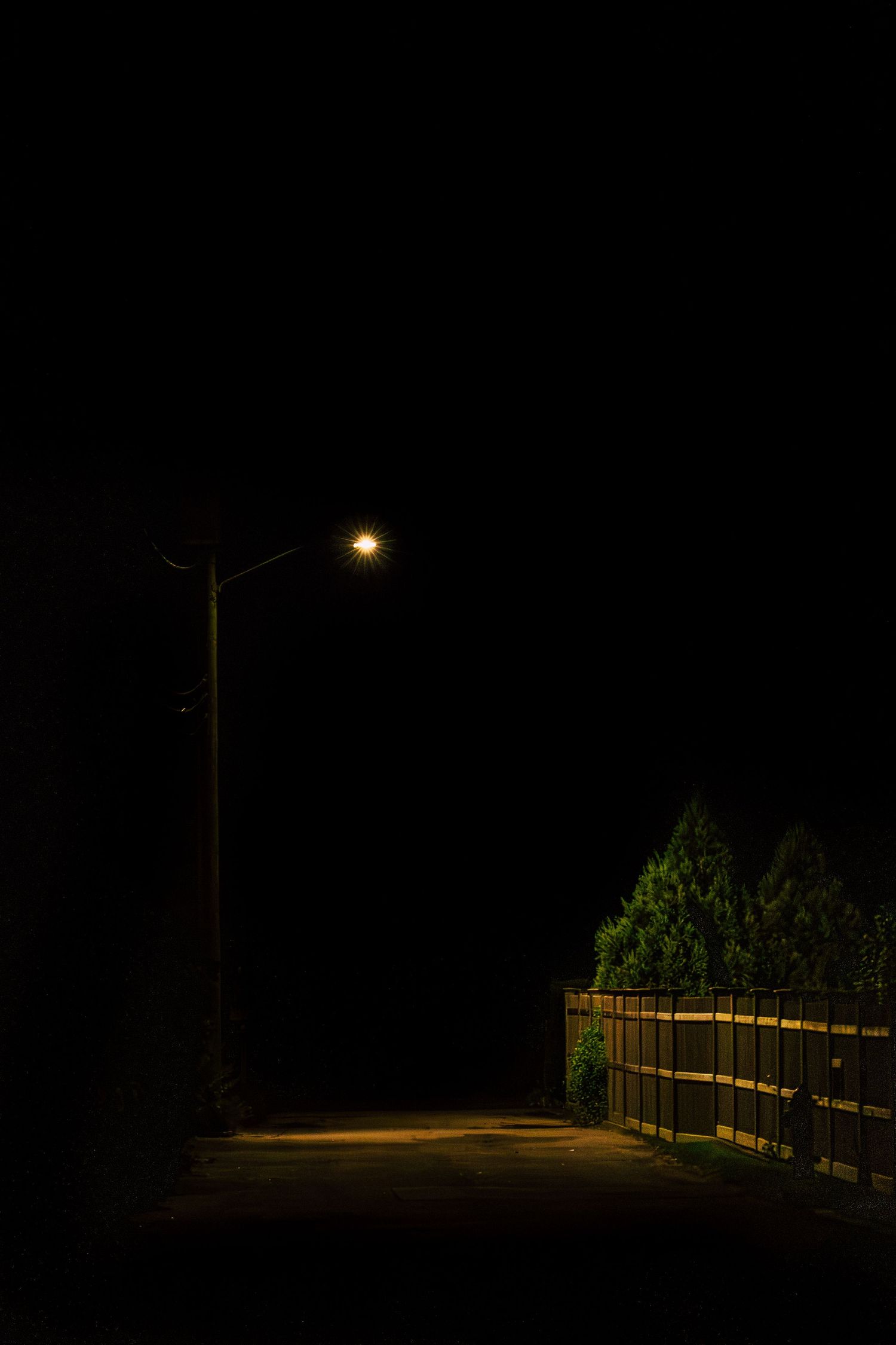 A dark night scene with a glowing street lamp illuminating a path beside a wooden fence and green trees.