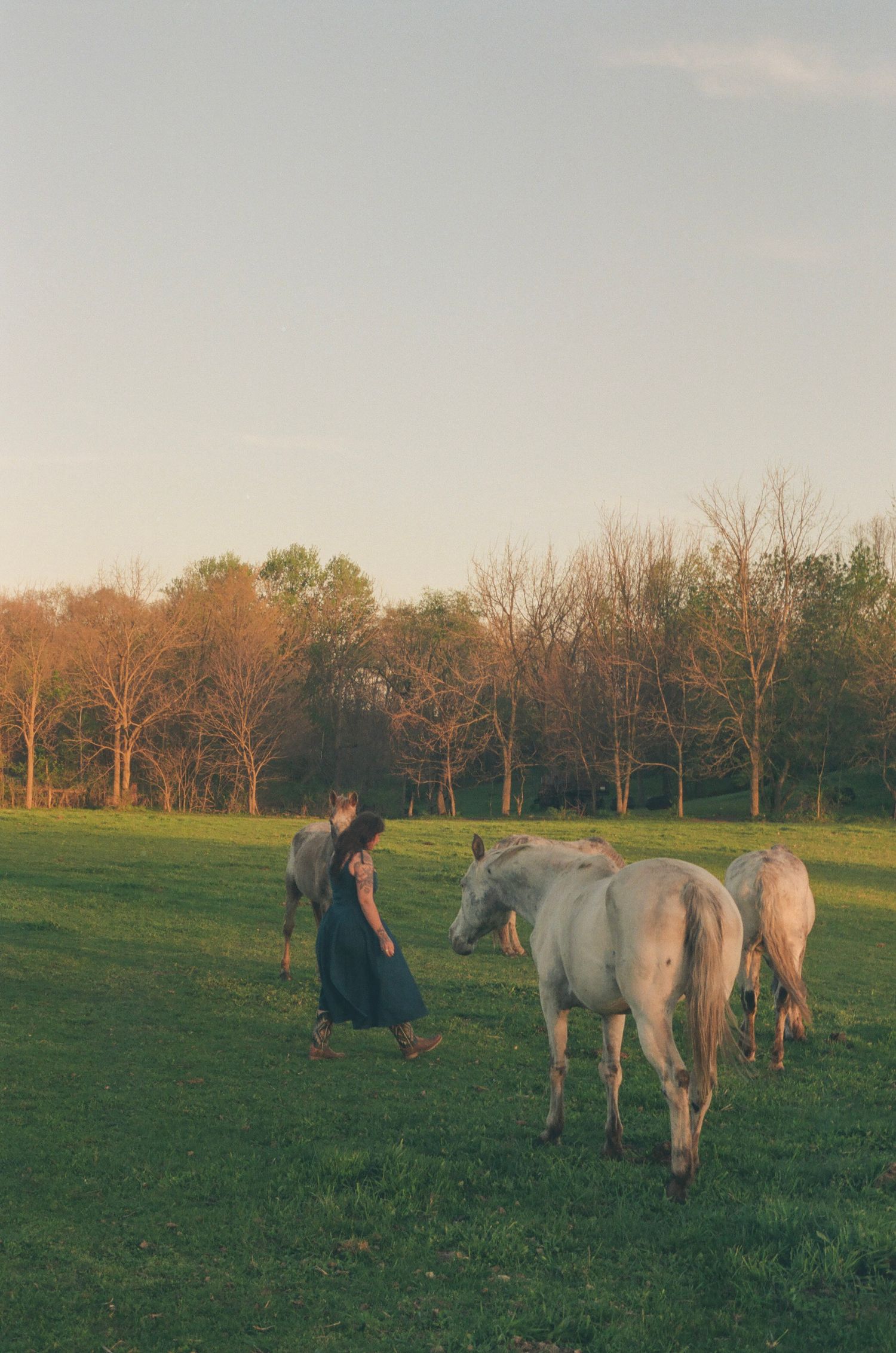 Woman in dark dress walks alongside white horses on a lush green field during sunset.