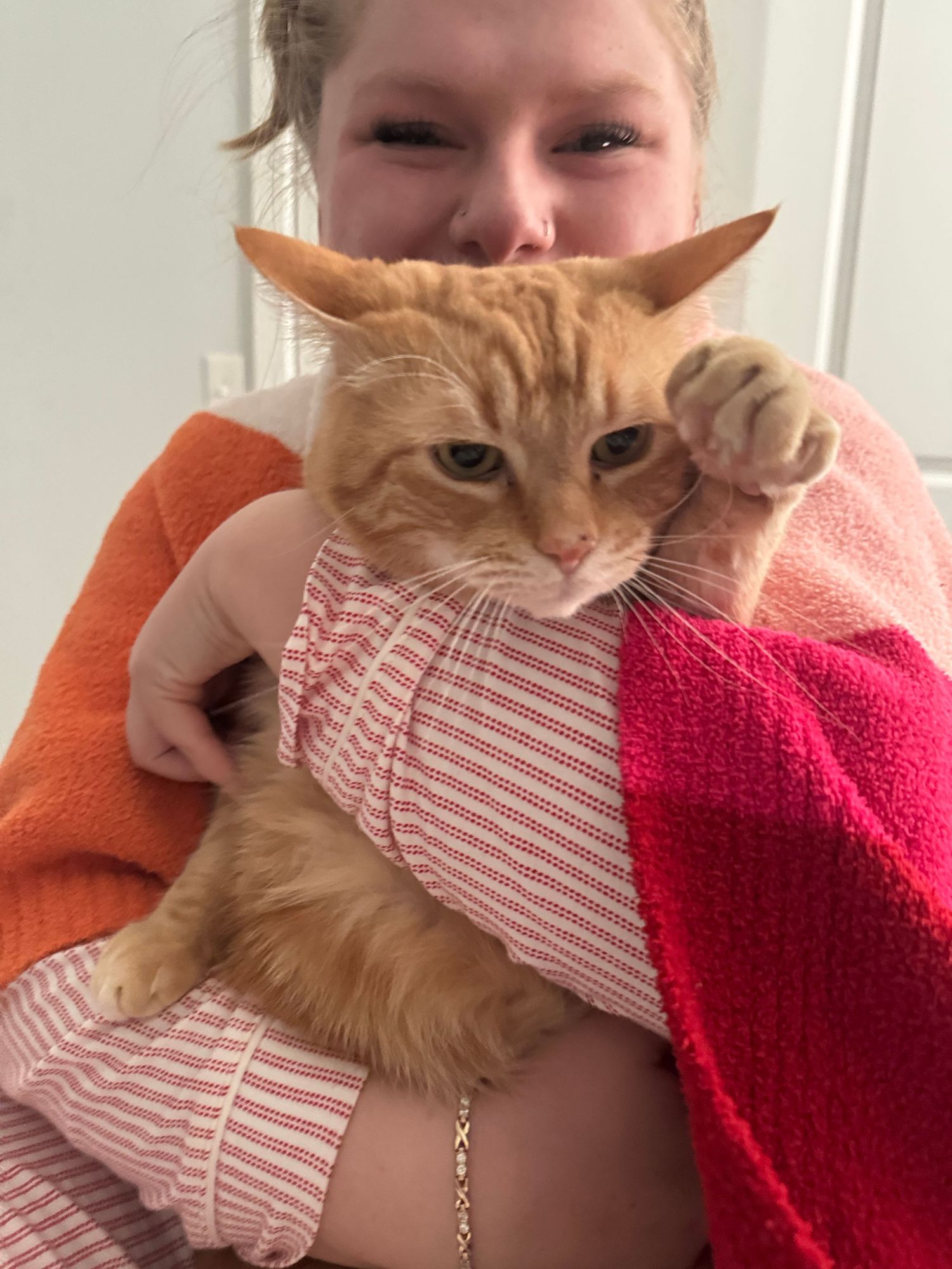 Young girl holding an orange tabby cat wrapped in colorful towels indoors.
