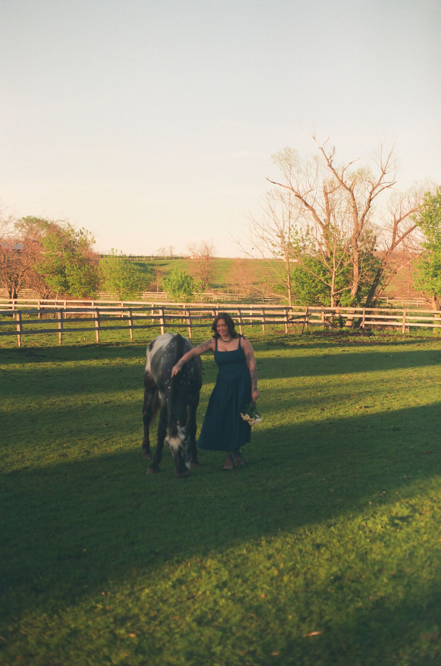 Woman in dark dress leading a gray horse through a sunny green fenced pasture.