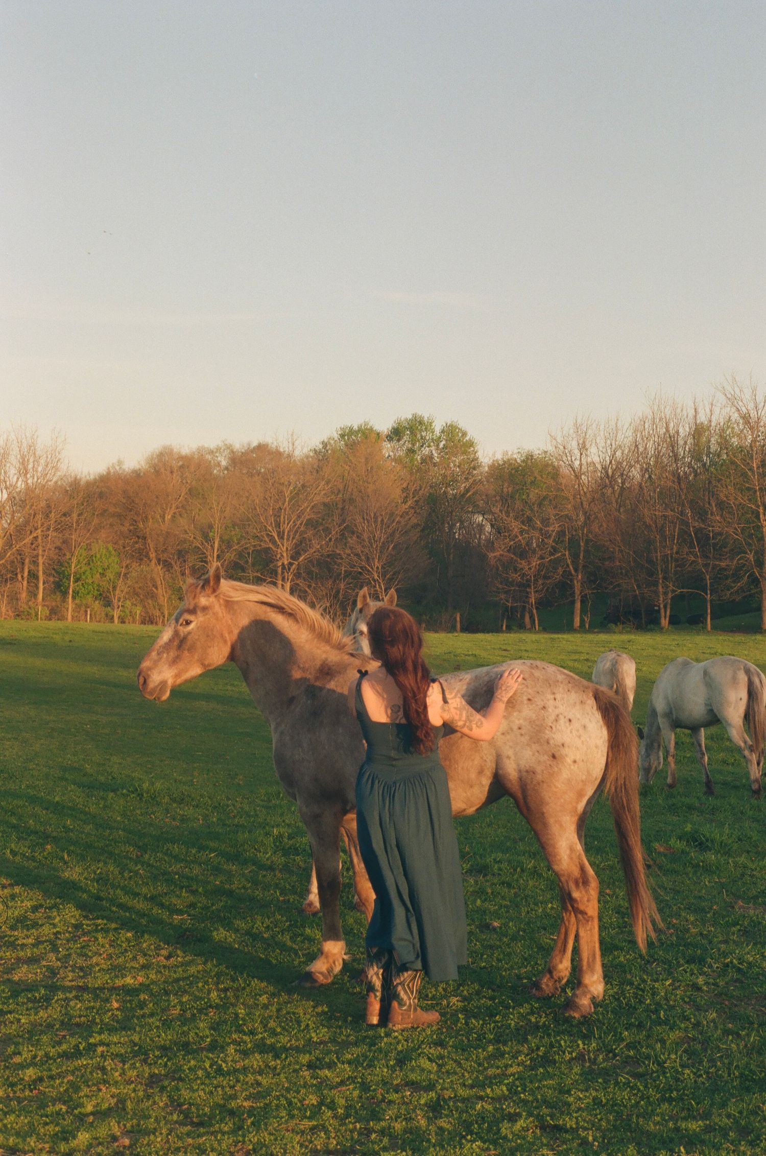 Woman in teal dress embracing a large Appaloosa horse from behind in a golden sunset pasture.