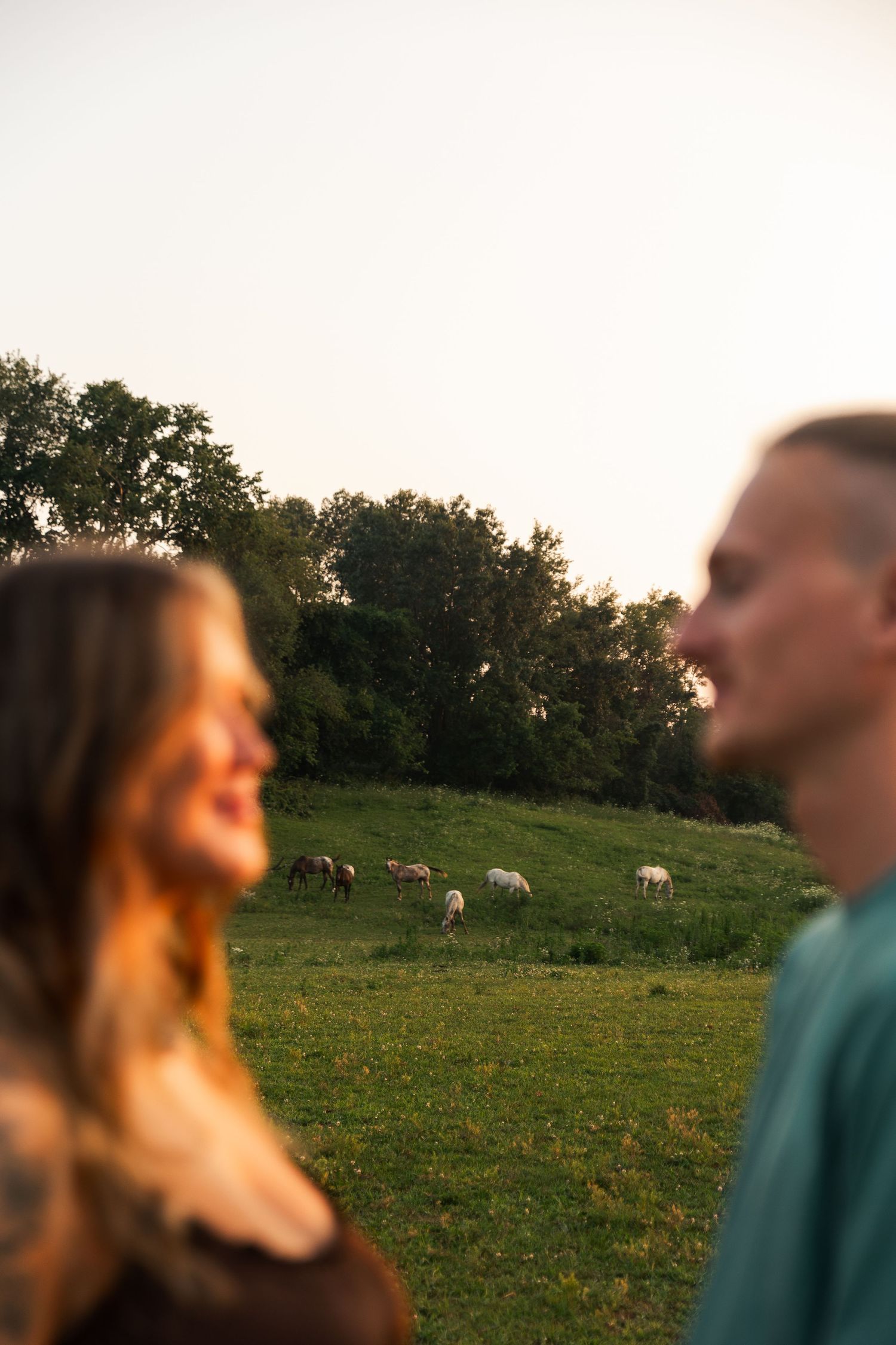 Couple smiling in foreground with horses grazing on a lush green hillside at golden hour sunset.