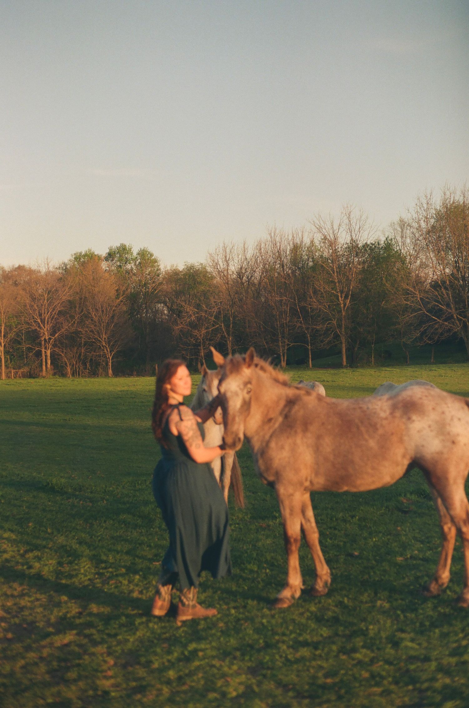 A woman in a teal dress stands with a light brown horse in a sunlit green pasture.