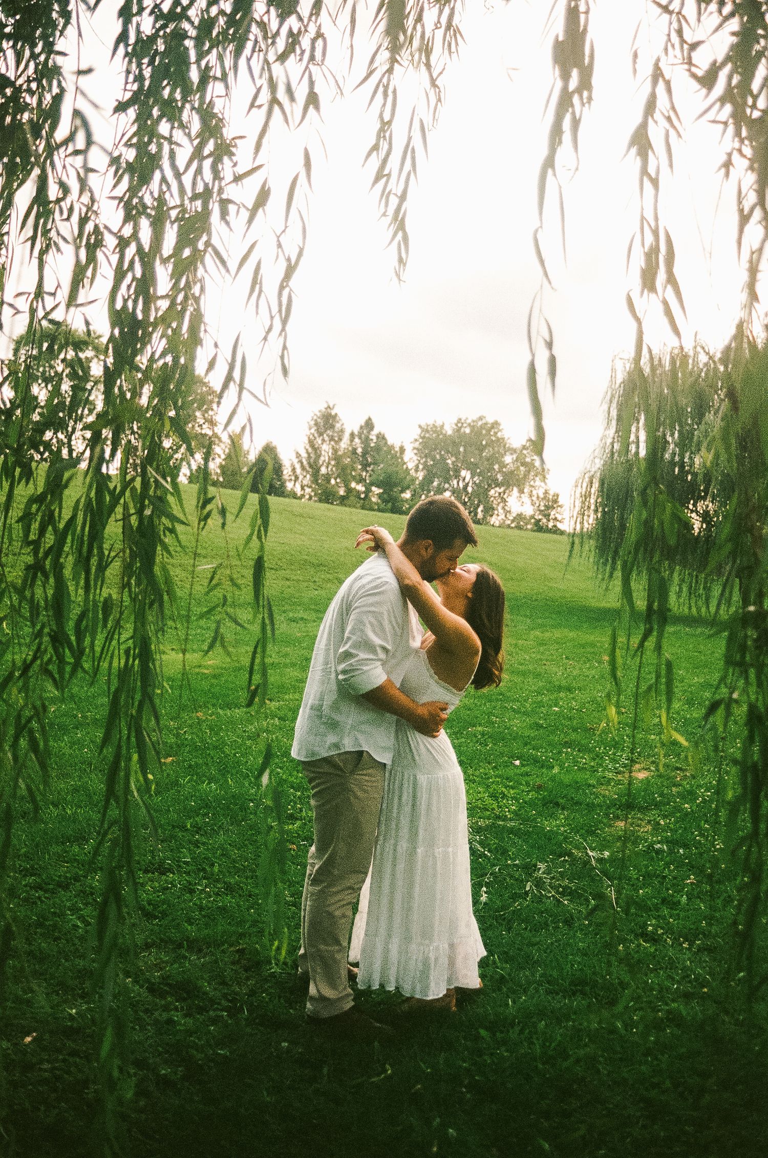 A couple shares a romantic kiss under weeping willow branches on a lush green lawn at dusk.