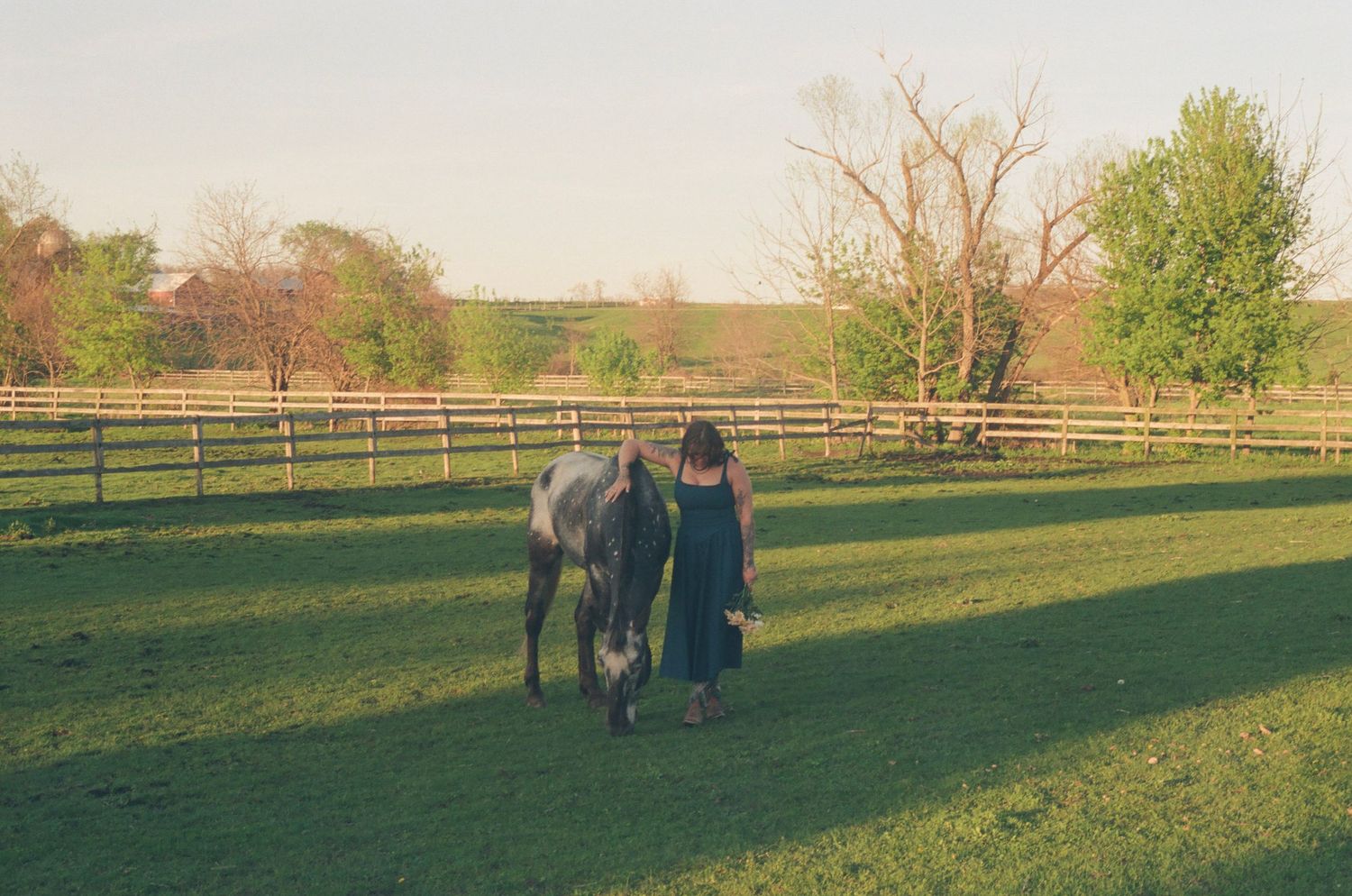 Woman in black dress walking alongside a gray horse in a bright green fenced field.