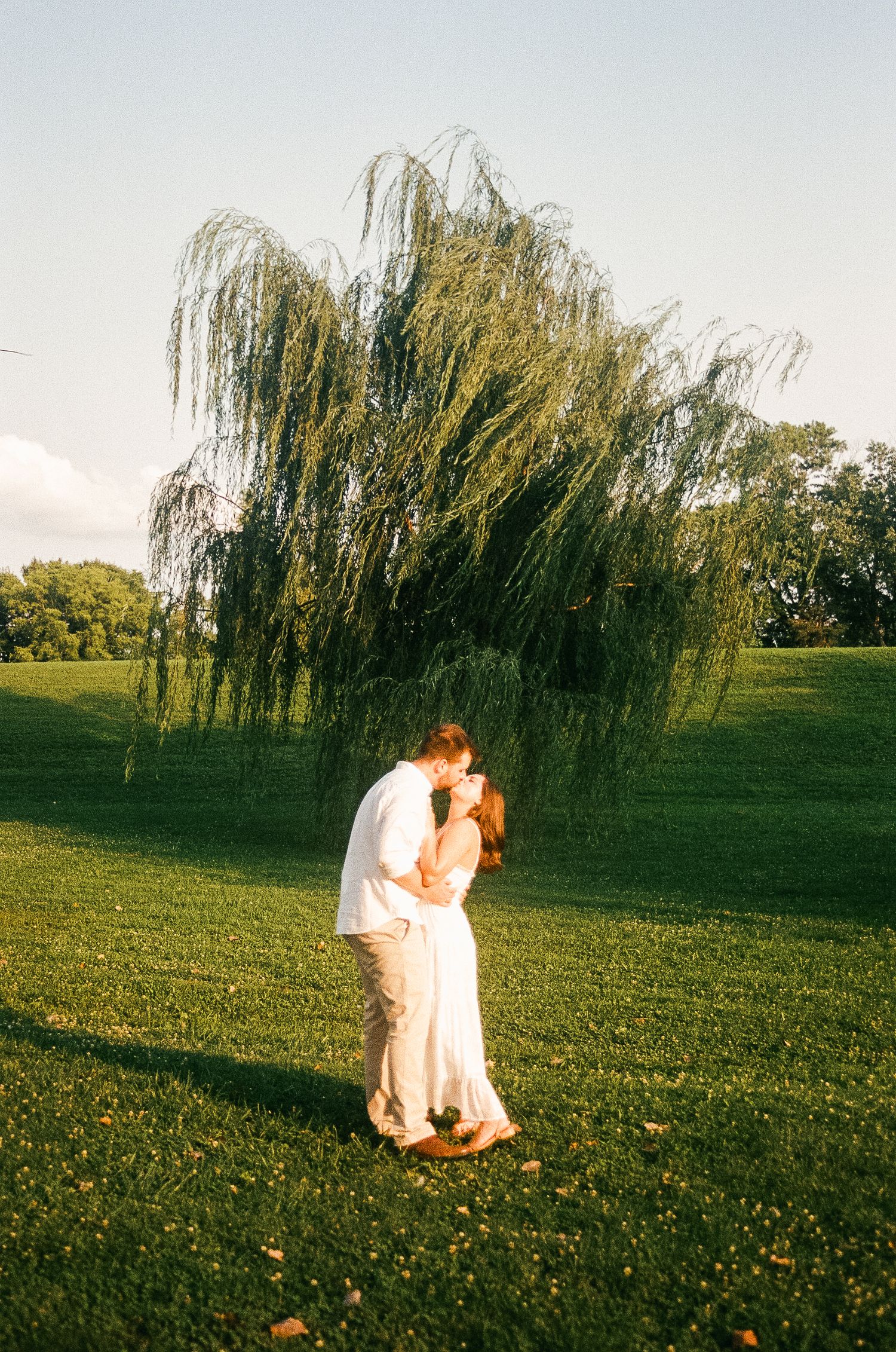 Couple sharing a romantic kiss under a weeping willow tree on a lush green lawn at golden hour.