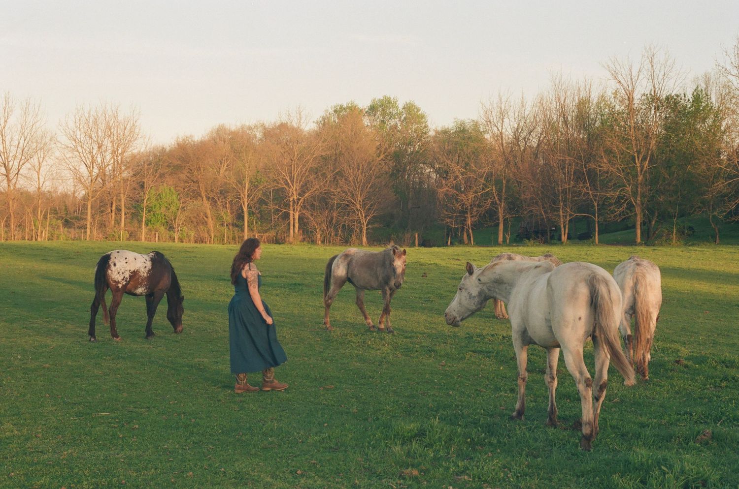 Woman in teal dress walking among four horses grazing in a green field at sunset.